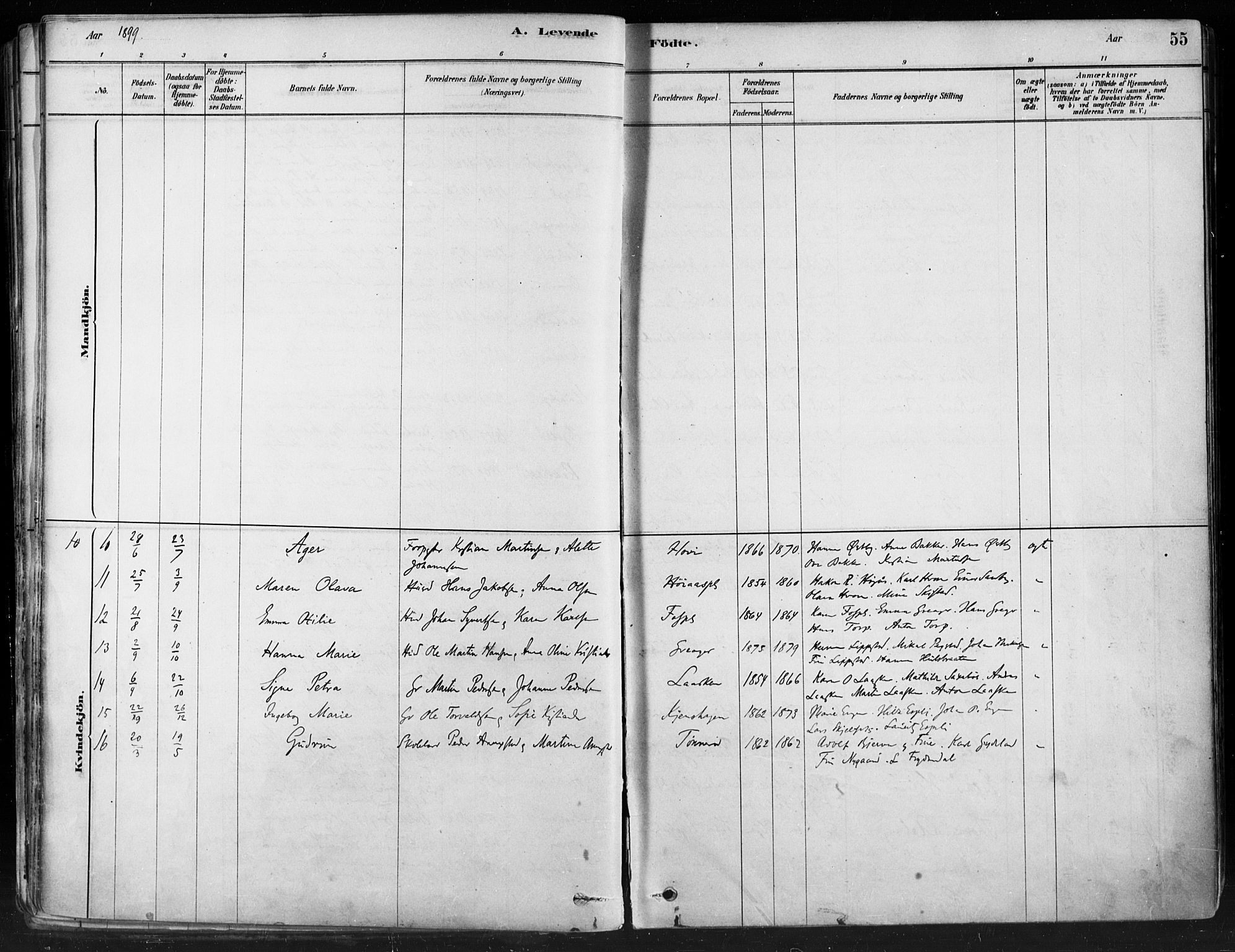Hobøl prestekontor Kirkebøker, SAO/A-2002/F/Fa/L0005: Parish register (official) no. I 5, 1878-1904, p. 55