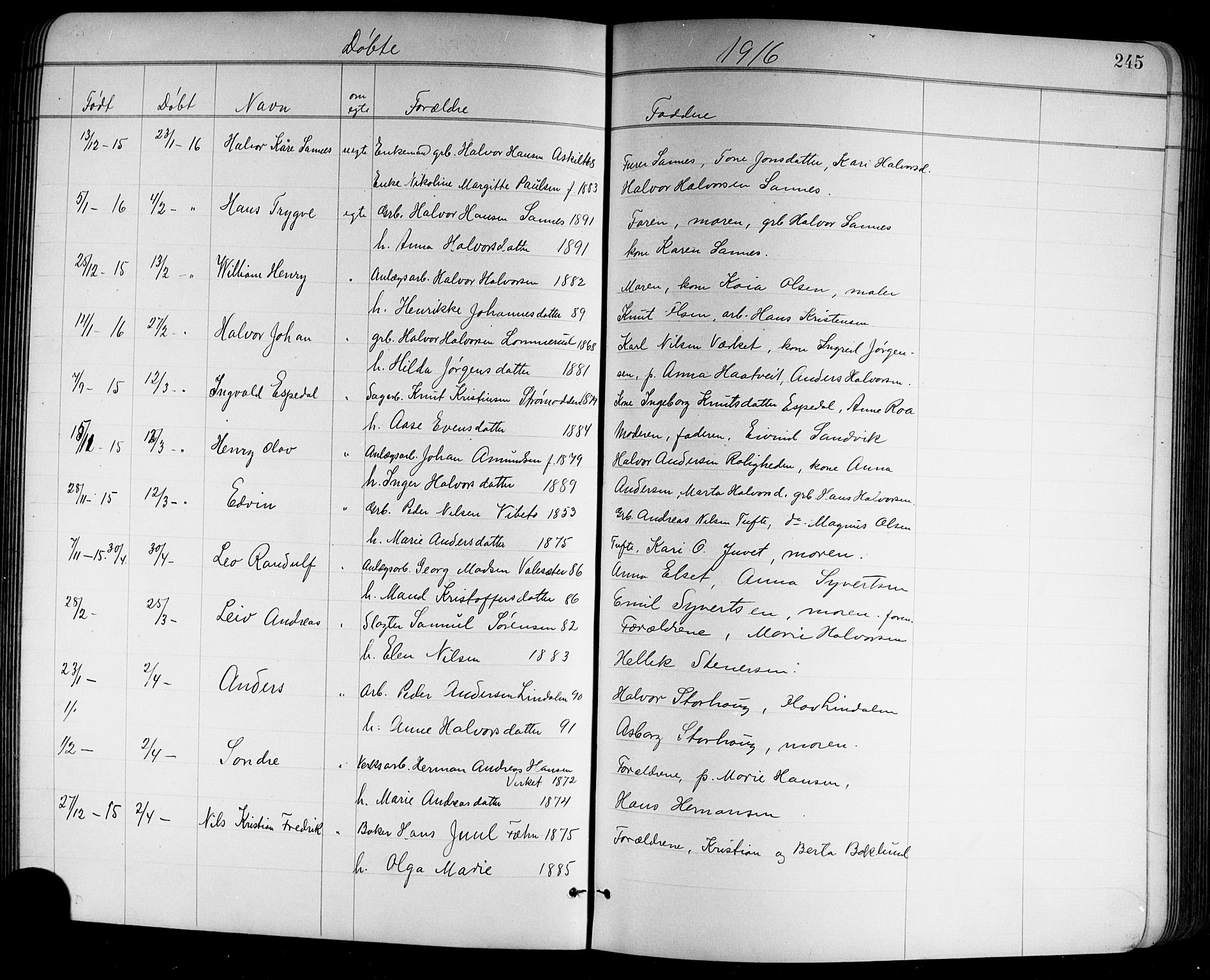 Holla kirkebøker, SAKO/A-272/G/Ga/L0005: Parish register (copy) no. I 5, 1891-1917, p. 245