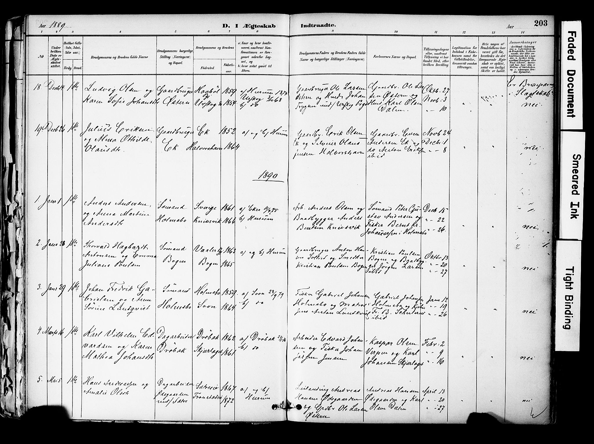 Hurum kirkebøker, SAKO/A-229/F/Fa/L0014: Parish register (official) no. 14, 1882-1895, p. 203