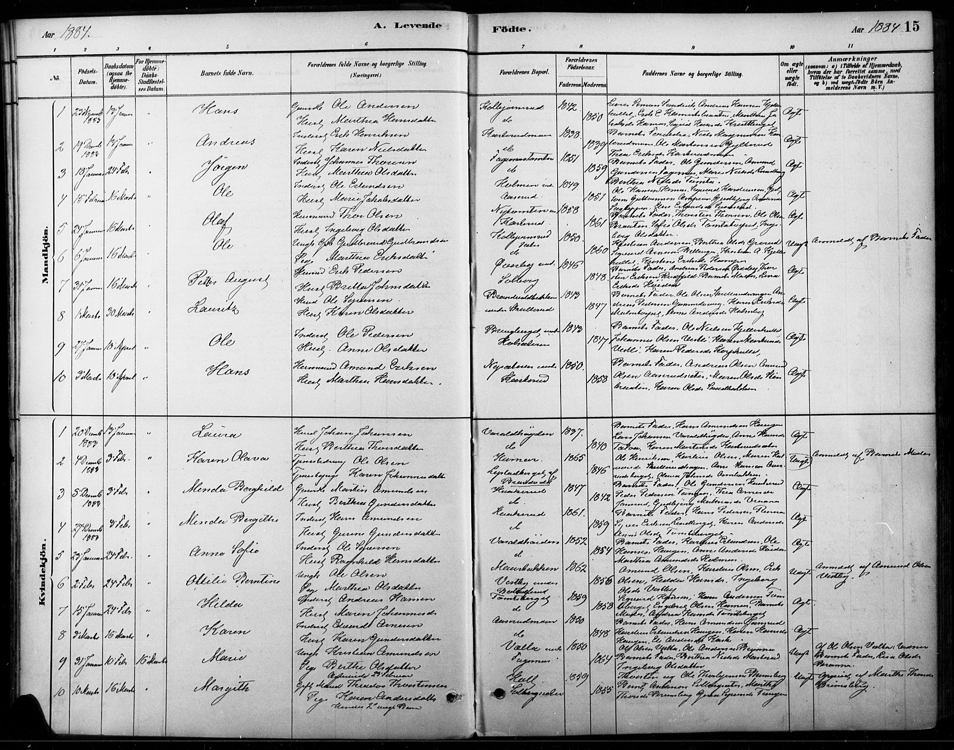 Vinger prestekontor, AV/SAH-PREST-024/H/Ha/Haa/L0015: Parish register (official) no. 15, 1881-1900, p. 15