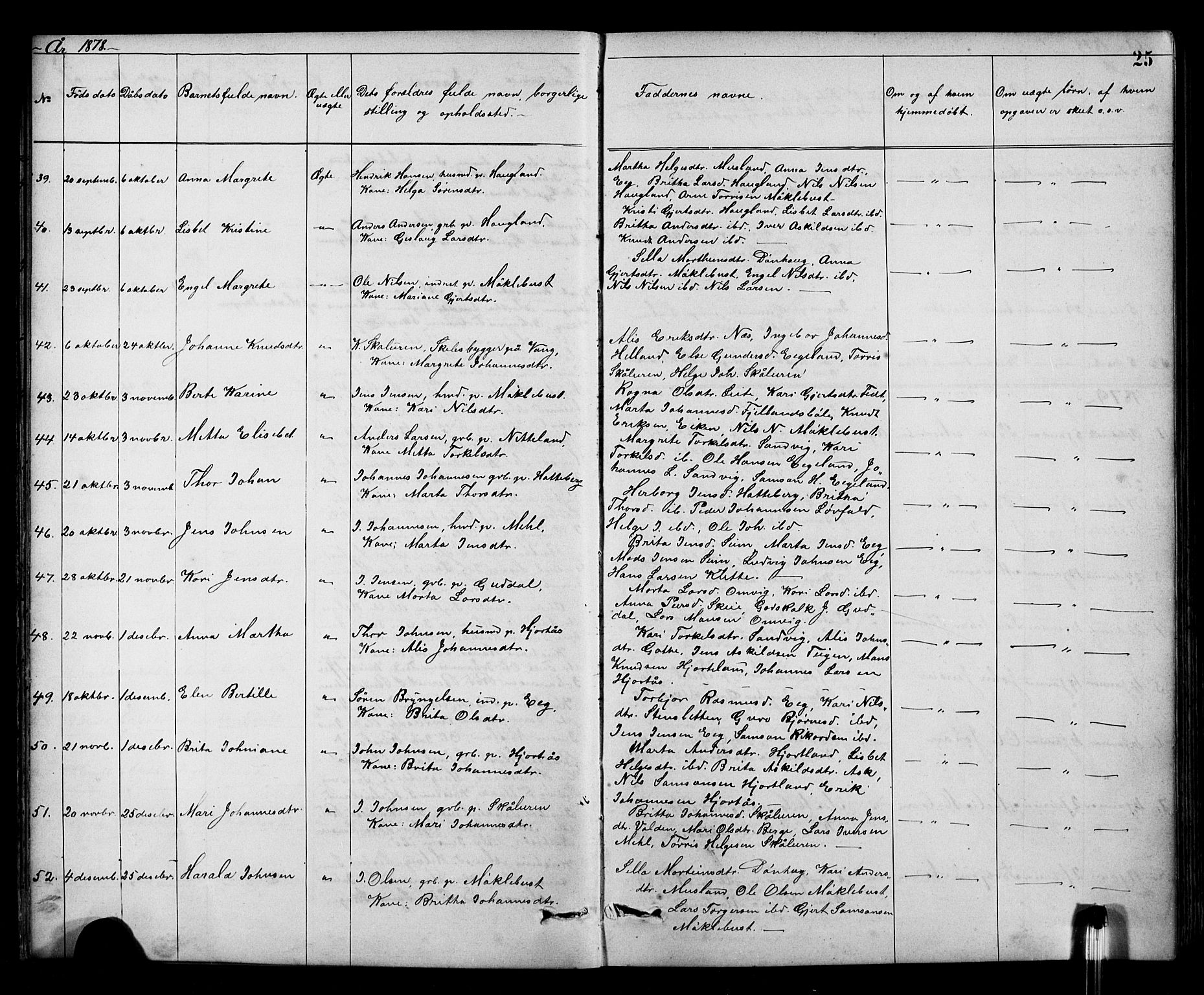 Kvinnherad sokneprestembete, SAB/A-76401/H/Hab: Parish register (copy) no. A 2, 1873-1900, p. 25