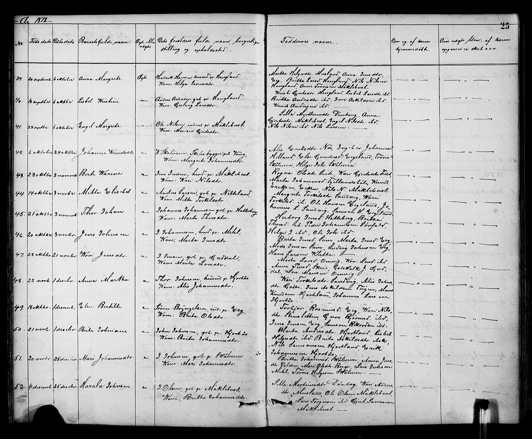 Kvinnherad sokneprestembete, AV/SAB-A-76401/H/Hab: Parish register (copy) no. A 2, 1873-1900, p. 25