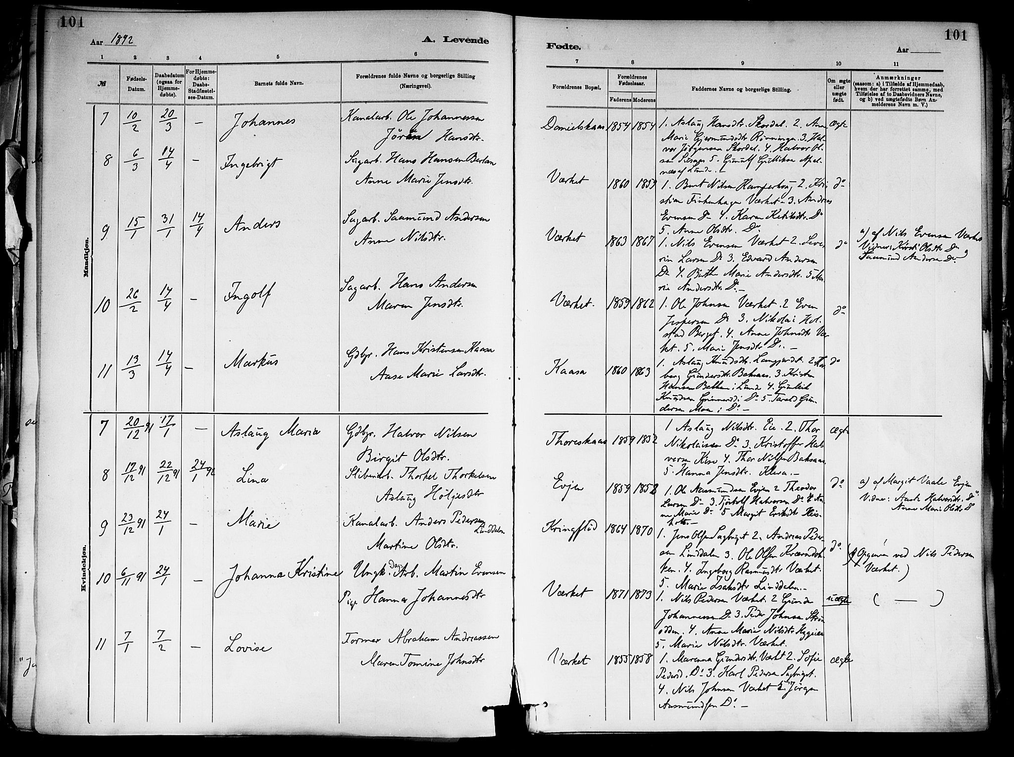 Holla kirkebøker, SAKO/A-272/F/Fa/L0008: Parish register (official) no. 8, 1882-1897, p. 101