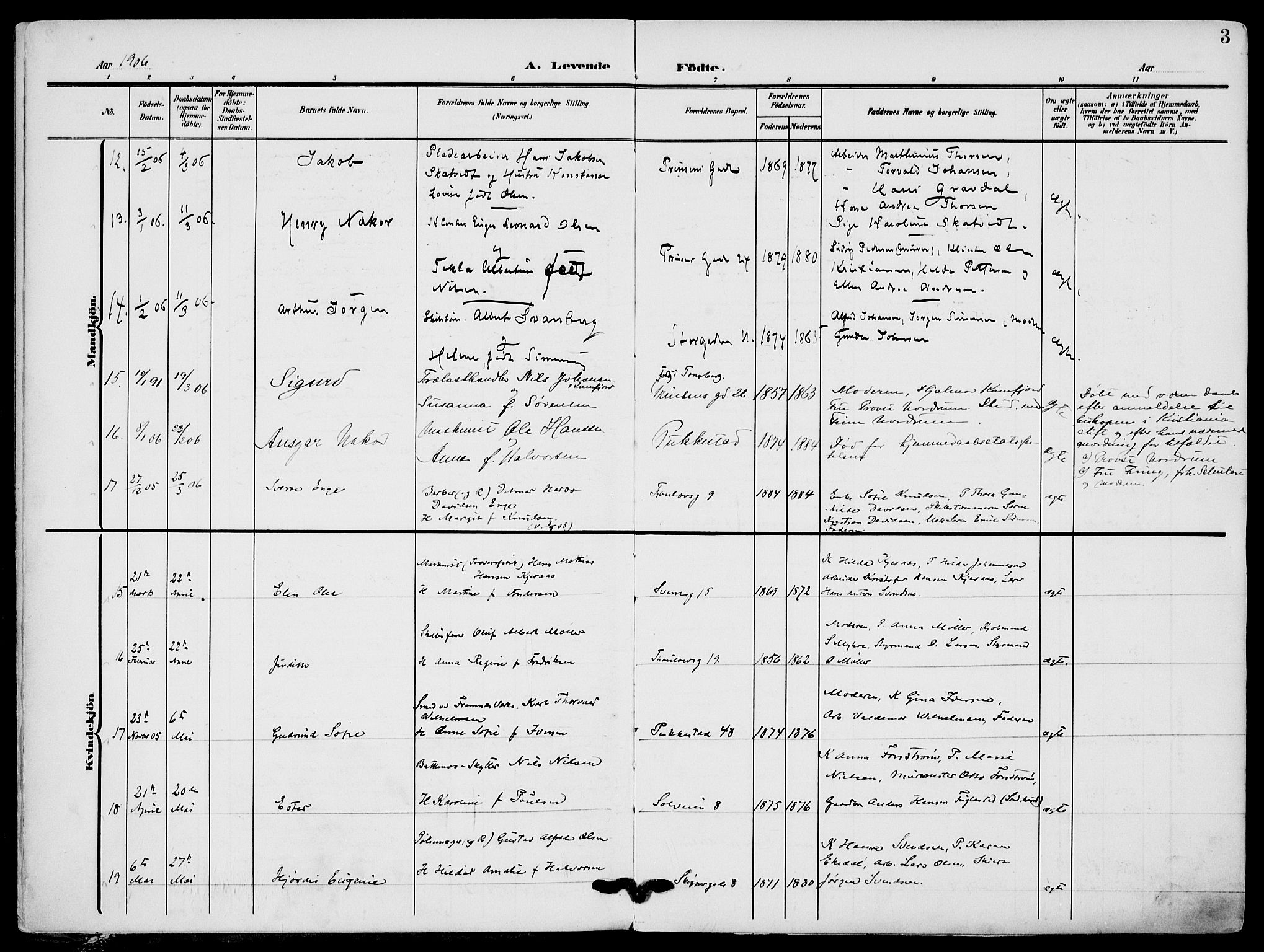 Sandefjord kirkebøker, AV/SAKO-A-315/F/Fa/L0005: Parish register (official) no. 5, 1906-1915, p. 3