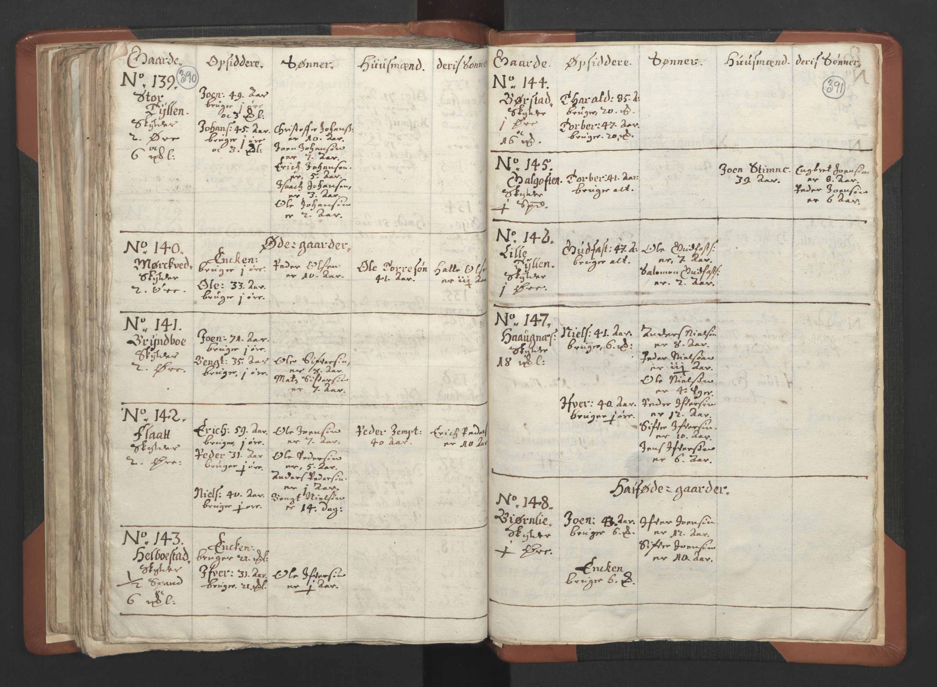 RA, Vicar's Census 1664-1666, no. 34: Namdal deanery, 1664-1666, p. 390-391