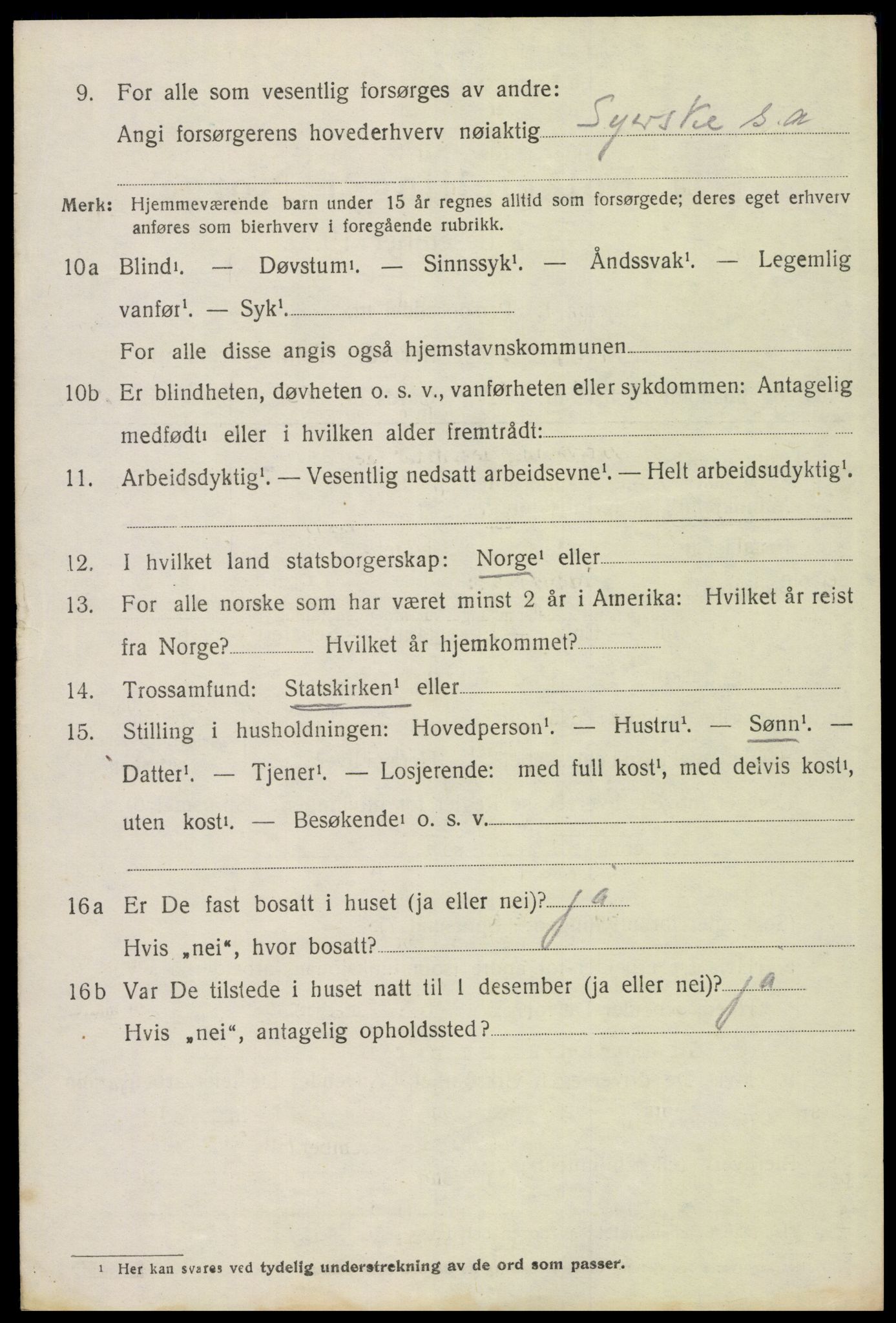 SAH, 1920 census for Hof, 1920, p. 2514