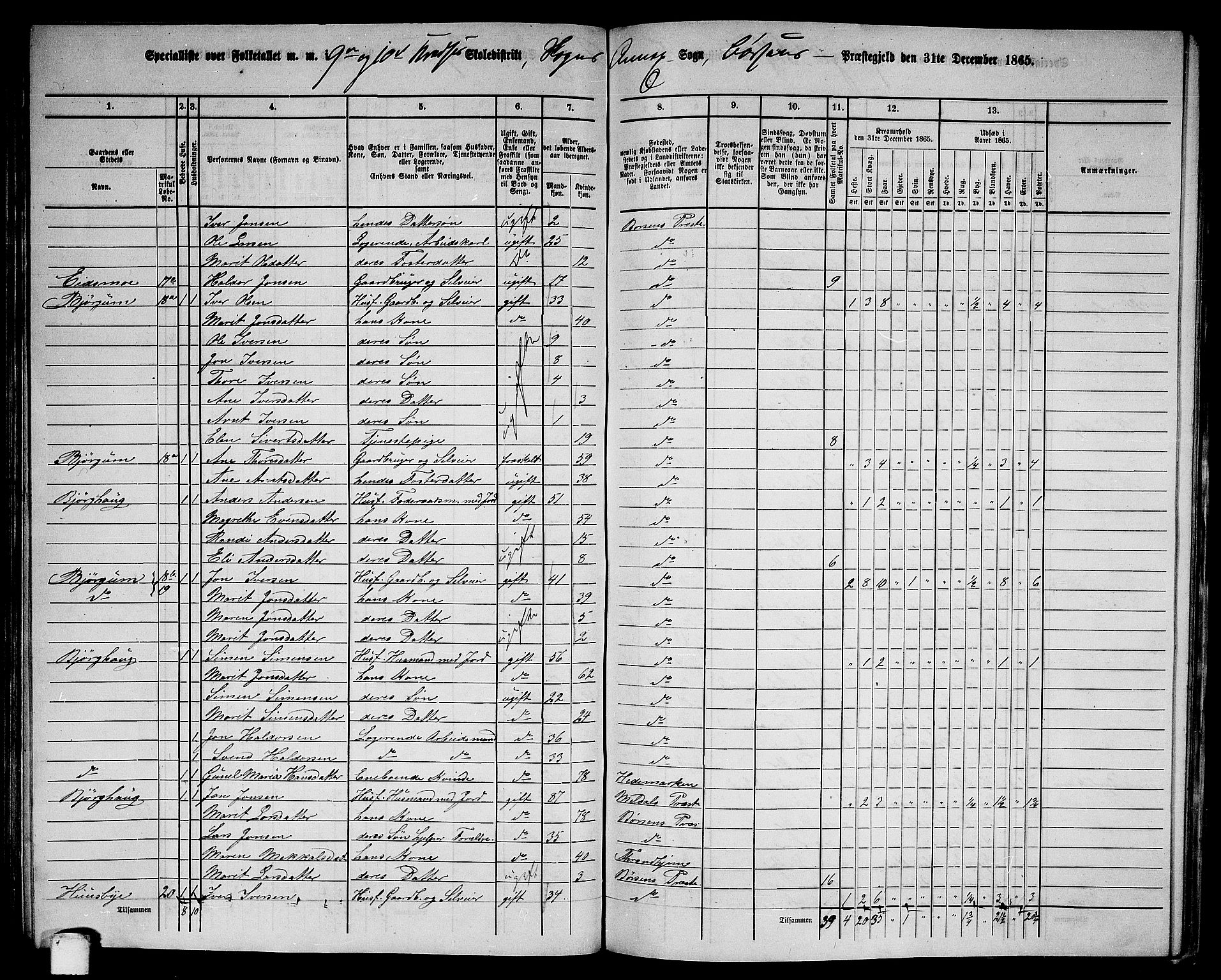 RA, 1865 census for Børsa, 1865, p. 106