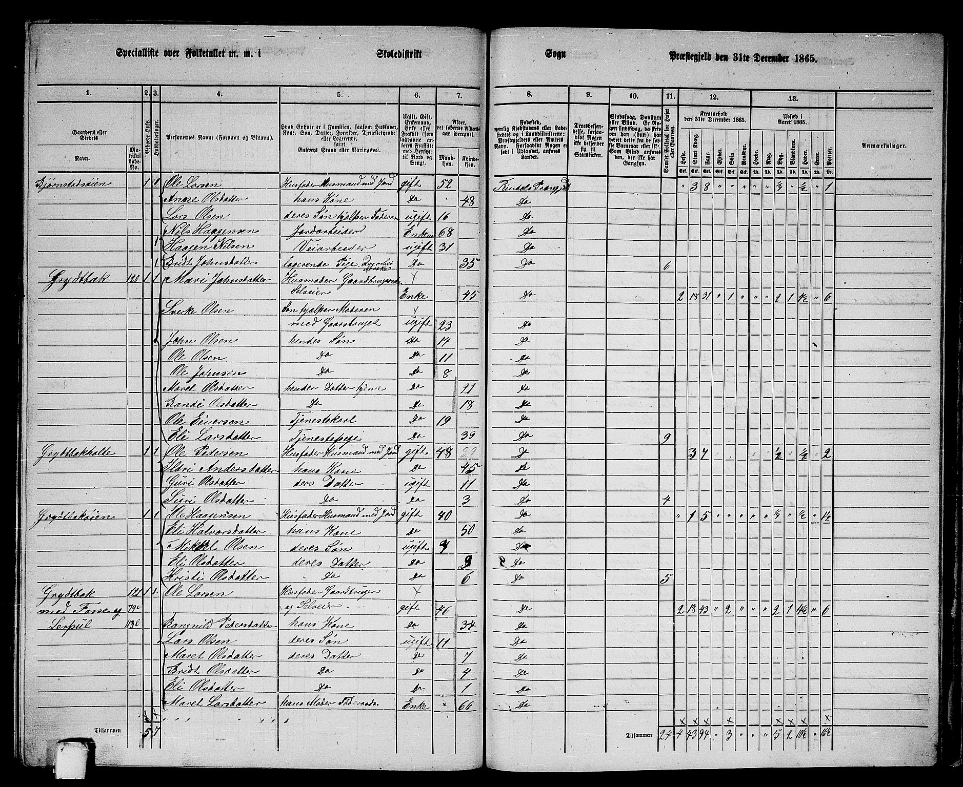 RA, 1865 census for Rindal, 1865, p. 92