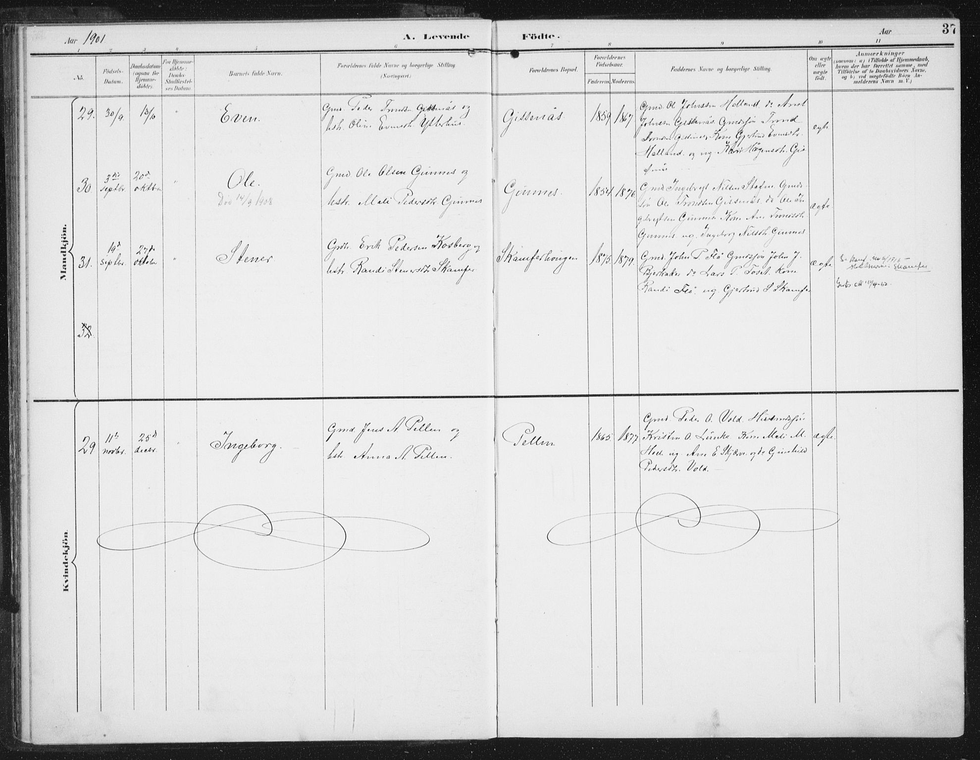 Ministerialprotokoller, klokkerbøker og fødselsregistre - Sør-Trøndelag, SAT/A-1456/674/L0872: Parish register (official) no. 674A04, 1897-1907, p. 37