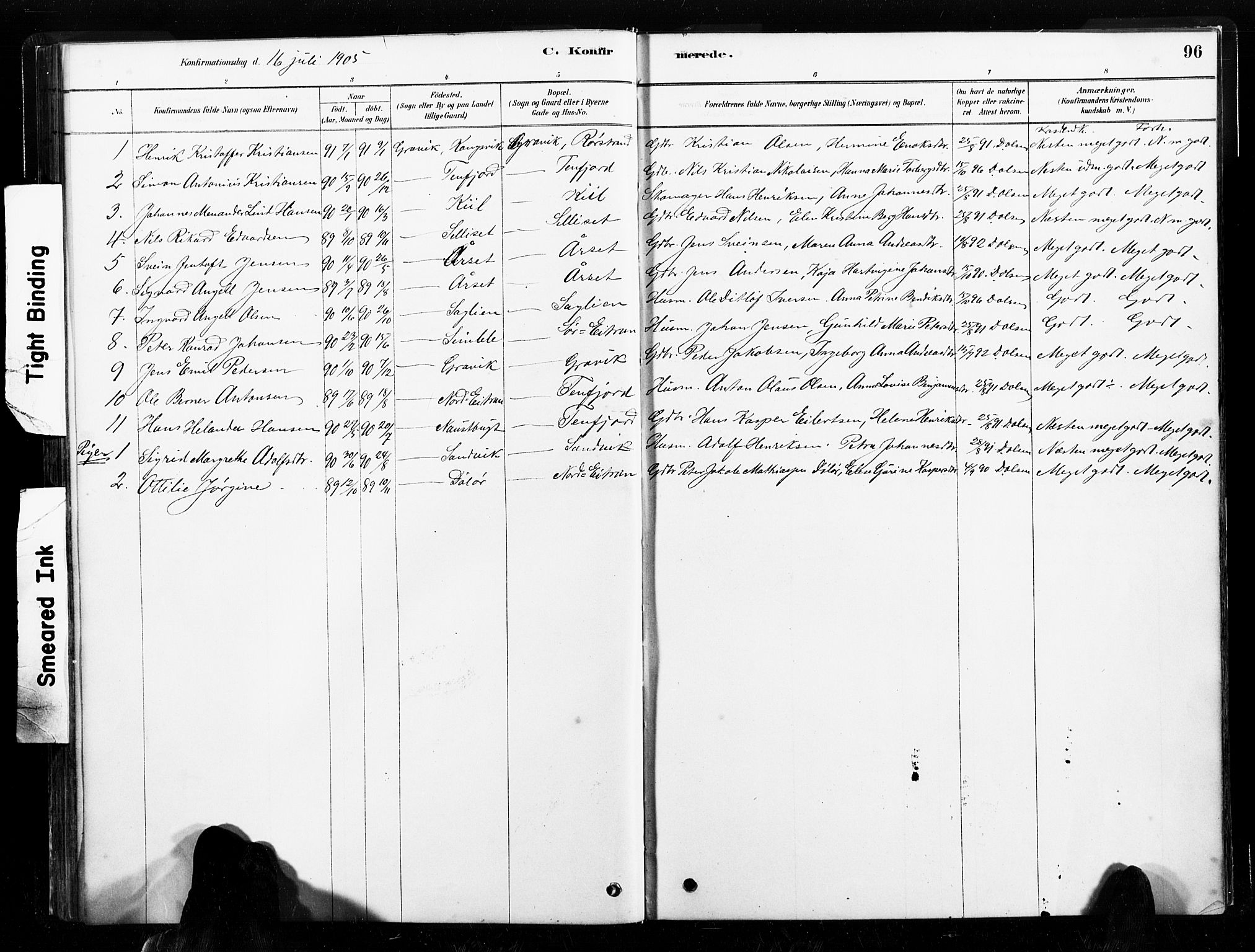 Ministerialprotokoller, klokkerbøker og fødselsregistre - Nord-Trøndelag, SAT/A-1458/789/L0705: Parish register (official) no. 789A01, 1878-1910, p. 96