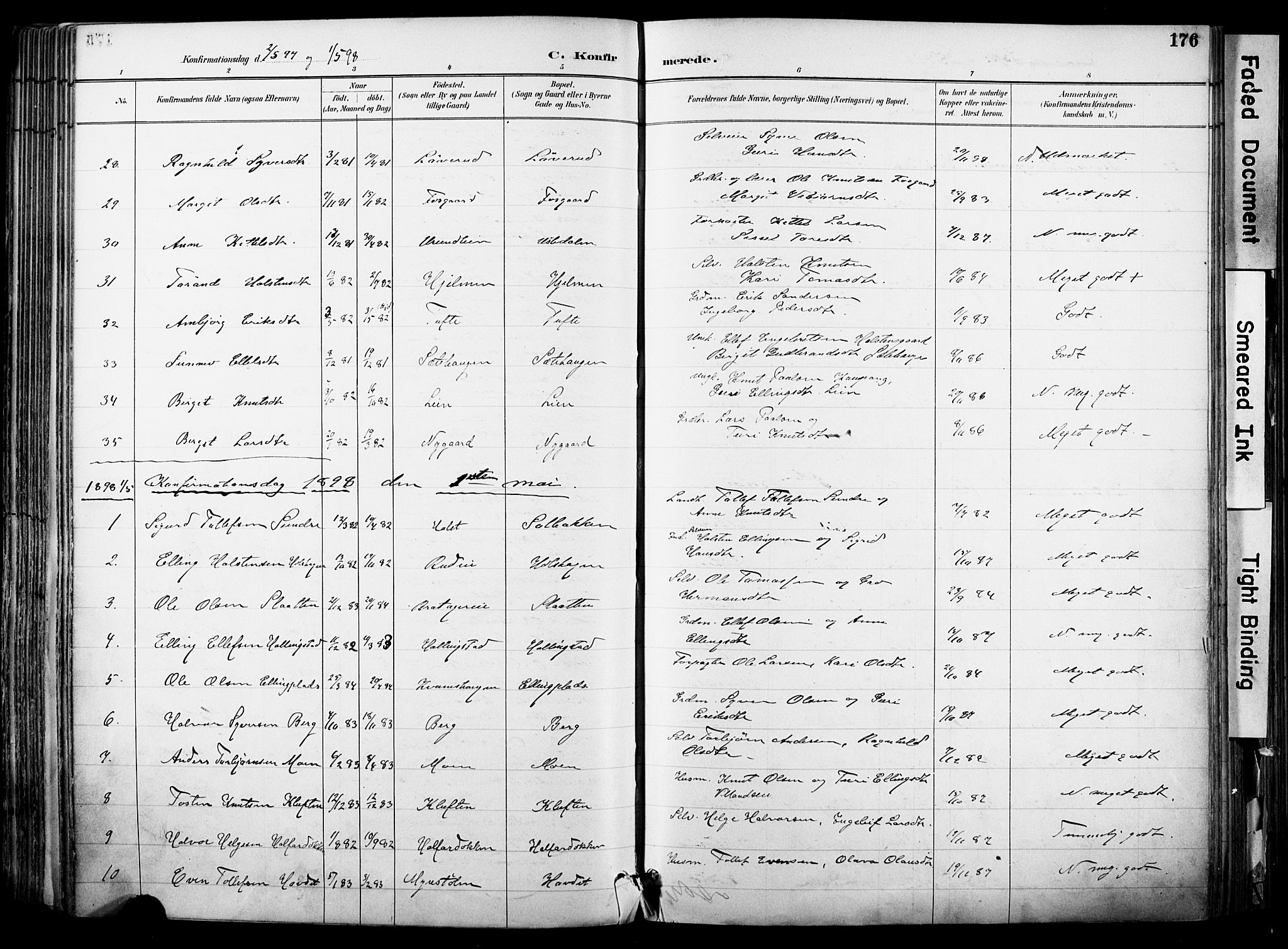 Hol kirkebøker, AV/SAKO-A-227/F/Fa/L0003: Parish register (official) no. I 3, 1887-1918, p. 176