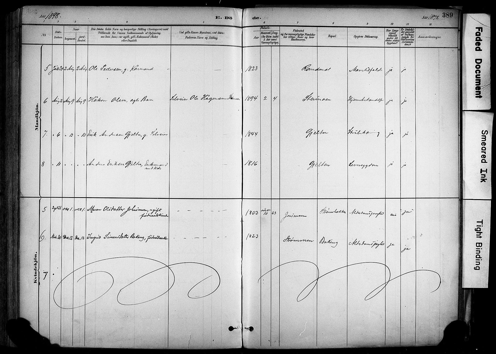 Alvdal prestekontor, AV/SAH-PREST-060/H/Ha/Haa/L0002: Parish register (official) no. 2, 1883-1906, p. 389