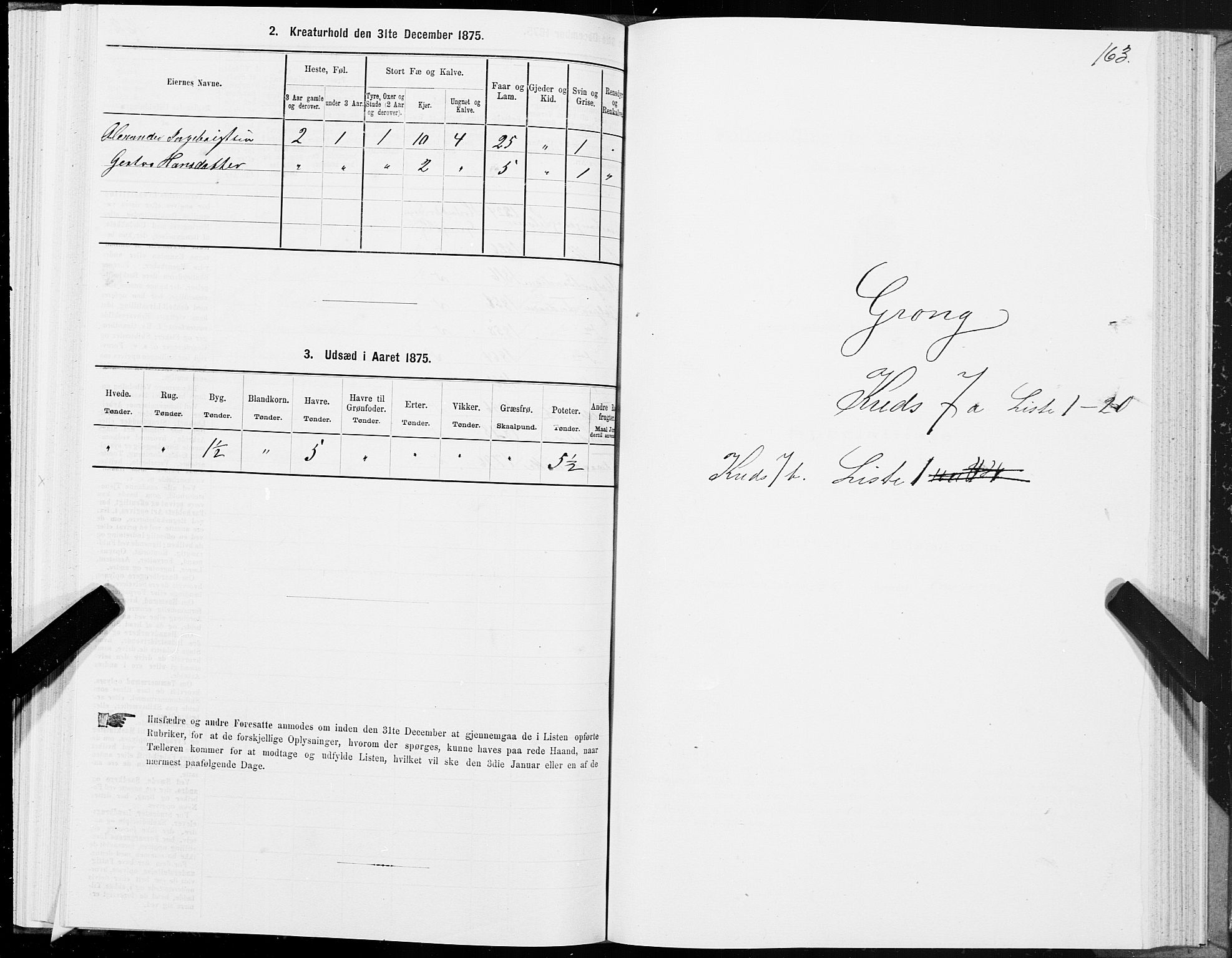 SAT, 1875 census for 1742P Grong, 1875, p. 4163