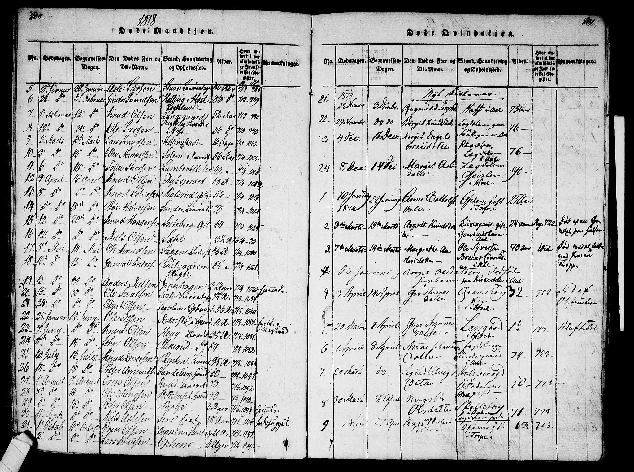 Ål kirkebøker, SAKO/A-249/F/Fa/L0004: Parish register (official) no. I 4, 1815-1825, p. 200-201