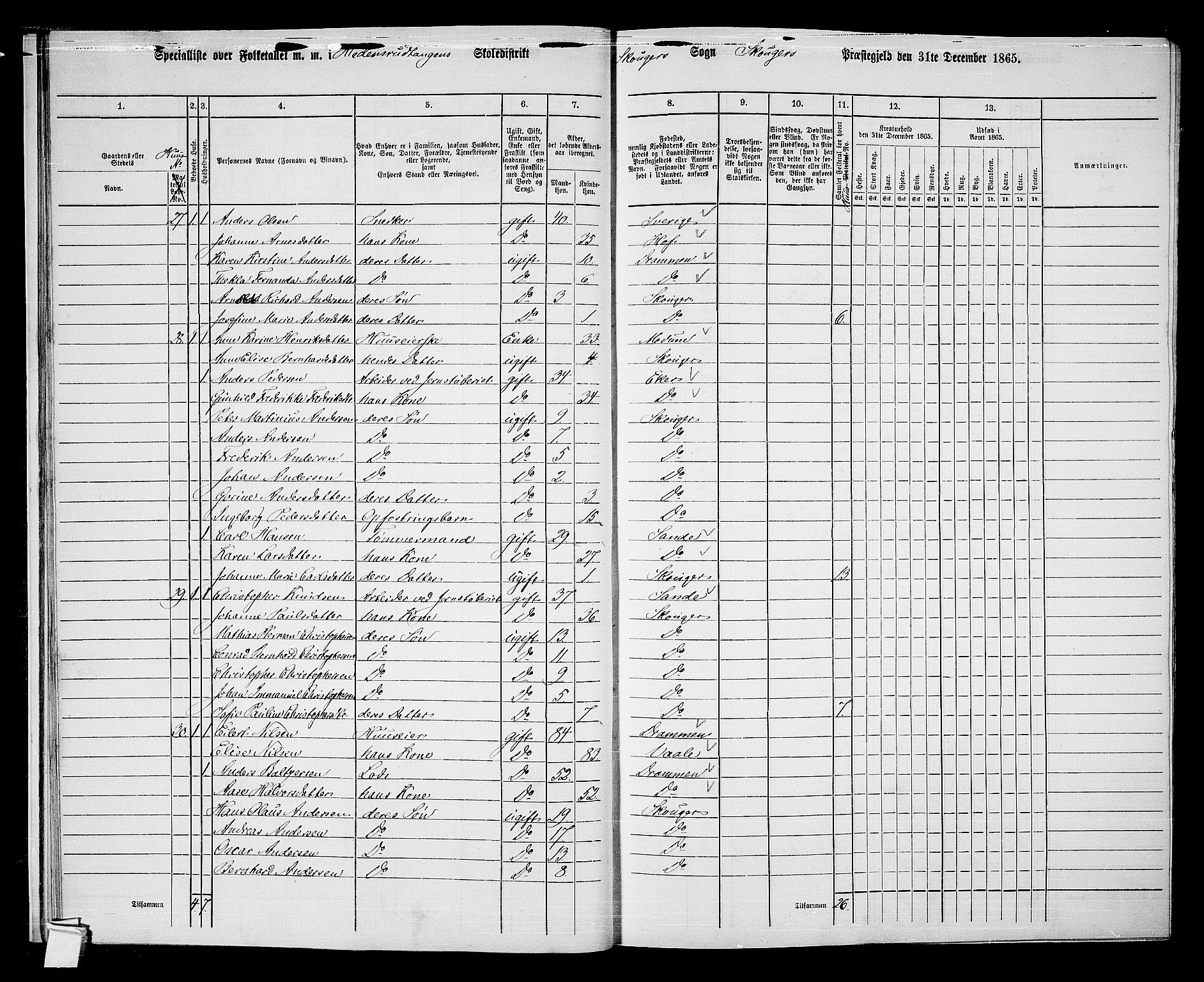 RA, 1865 census for Skoger, 1865, p. 21