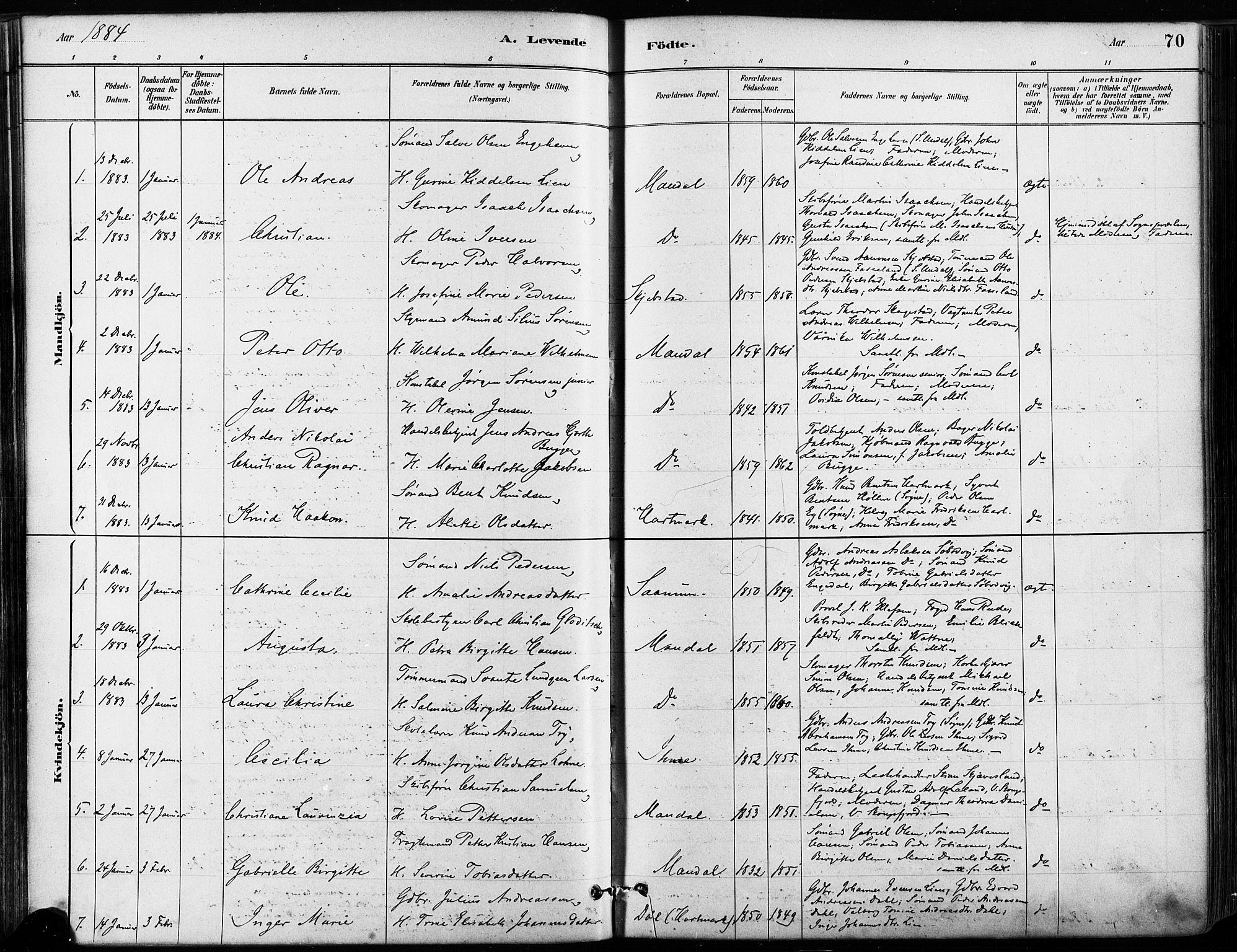 Mandal sokneprestkontor, AV/SAK-1111-0030/F/Fa/Faa/L0016: Parish register (official) no. A 16, 1880-1890, p. 70