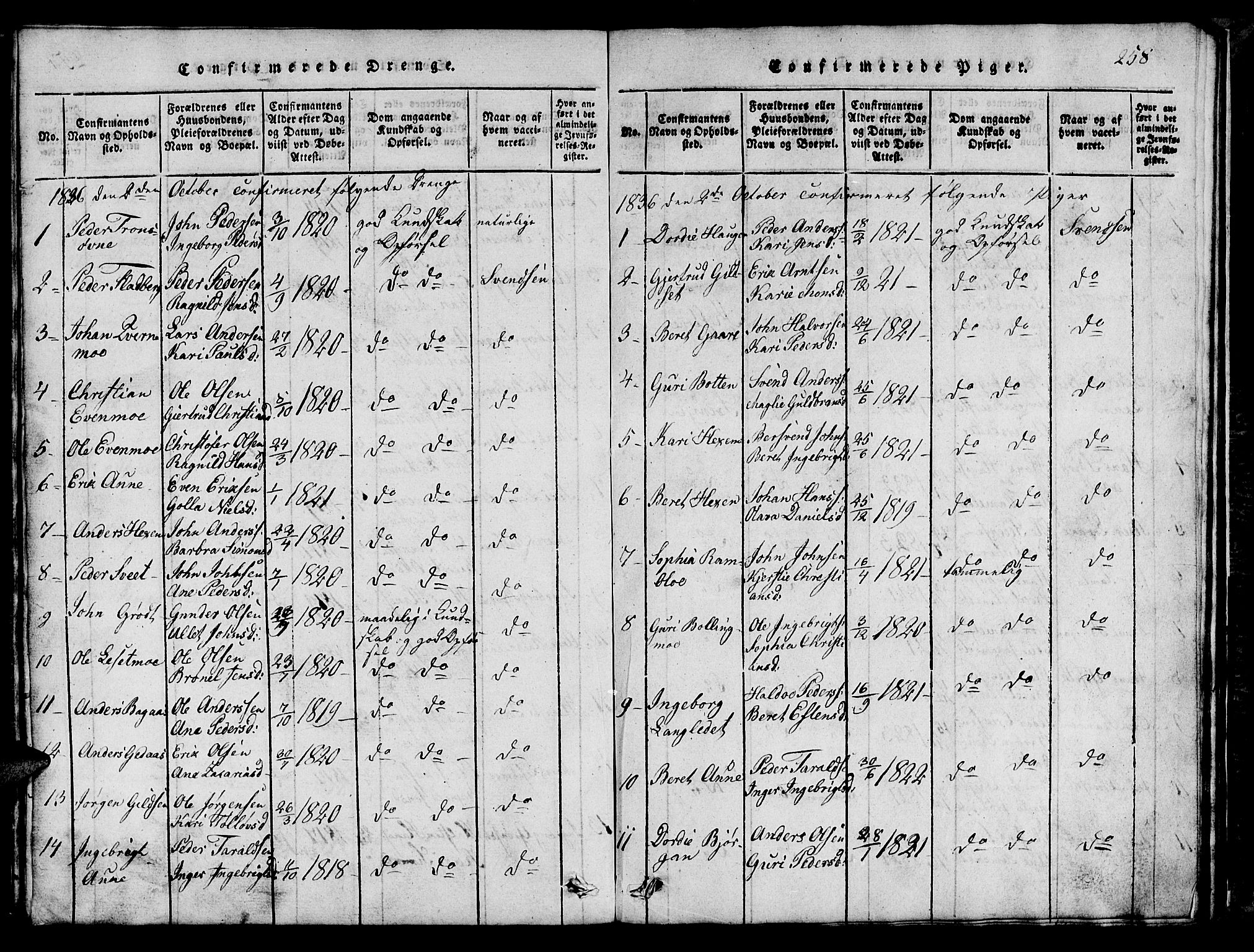 Ministerialprotokoller, klokkerbøker og fødselsregistre - Sør-Trøndelag, AV/SAT-A-1456/685/L0976: Parish register (copy) no. 685C01, 1817-1878, p. 258