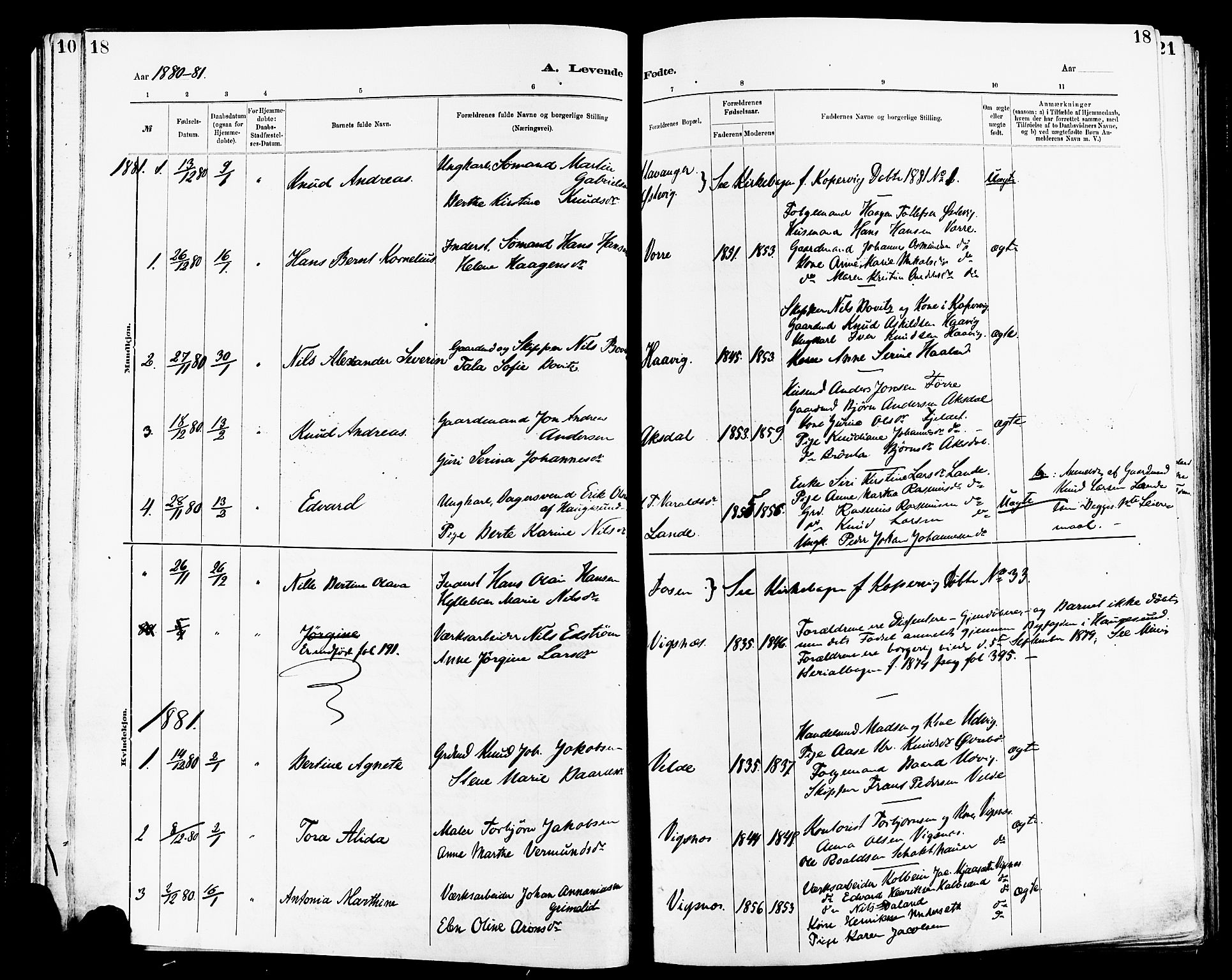Avaldsnes sokneprestkontor, SAST/A -101851/H/Ha/Haa/L0014: Parish register (official) no. A 14, 1880-1889, p. 18