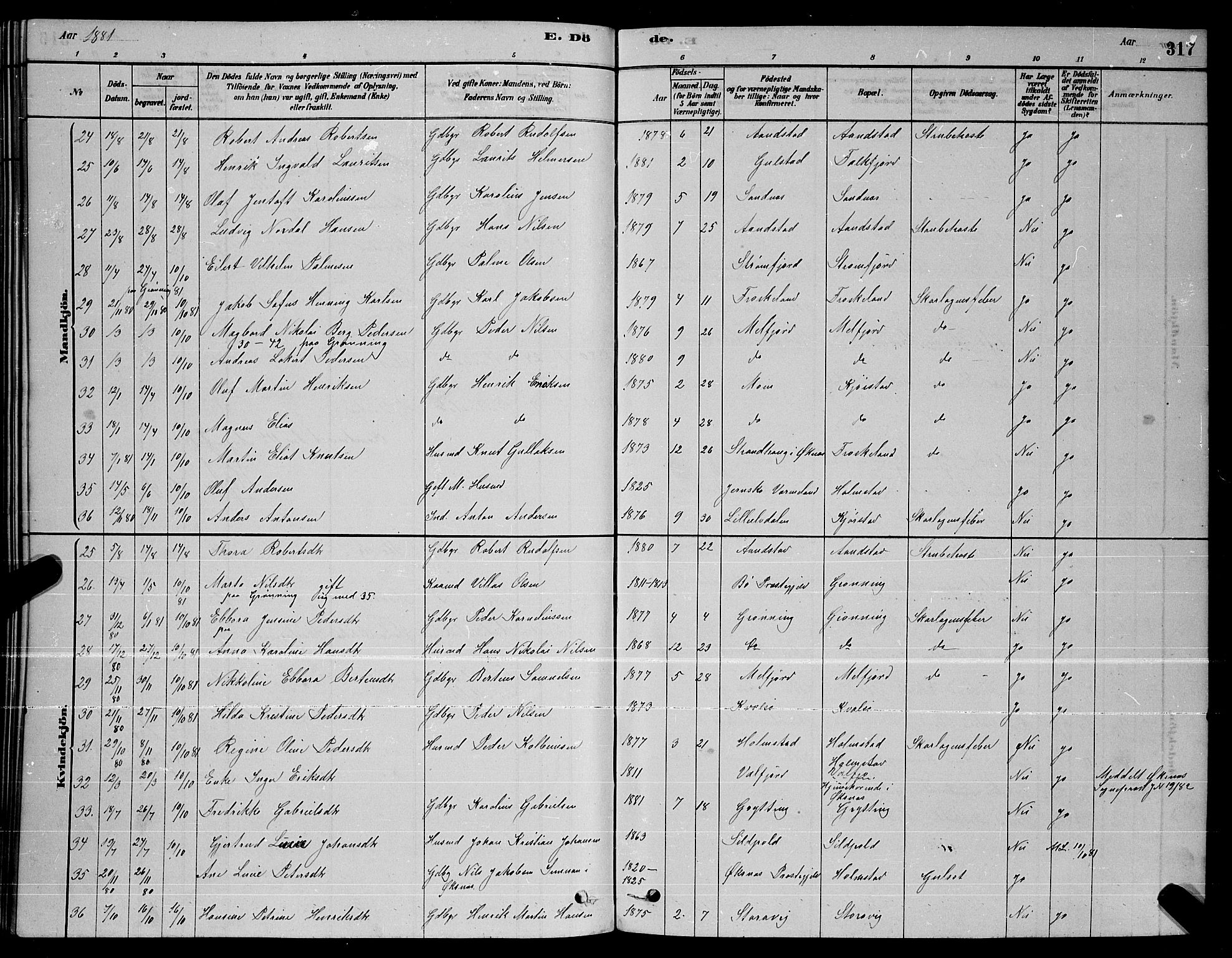 Ministerialprotokoller, klokkerbøker og fødselsregistre - Nordland, SAT/A-1459/888/L1267: Parish register (copy) no. 888C05, 1878-1890, p. 317