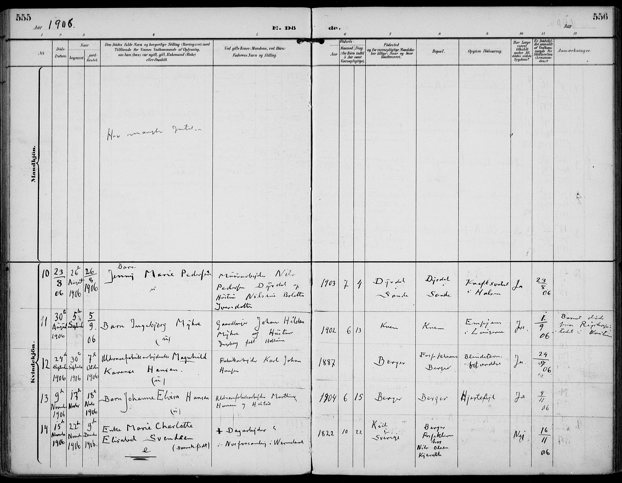 Strømm kirkebøker, AV/SAKO-A-322/F/Fa/L0005: Parish register (official) no. I 5, 1898-1919, p. 555-556