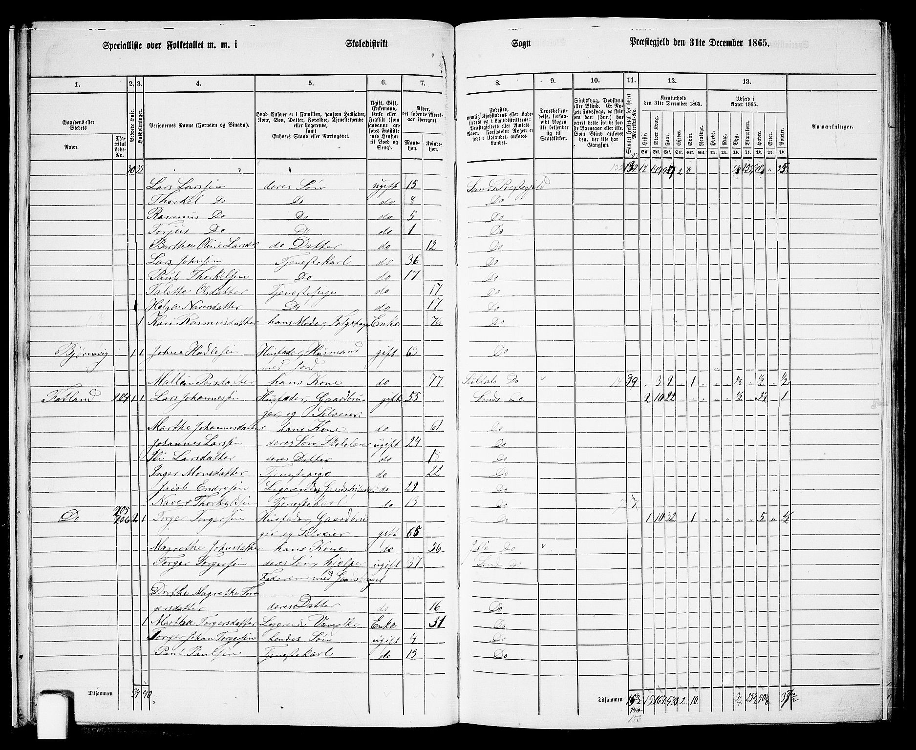 RA, 1865 census for Sand, 1865, p. 16