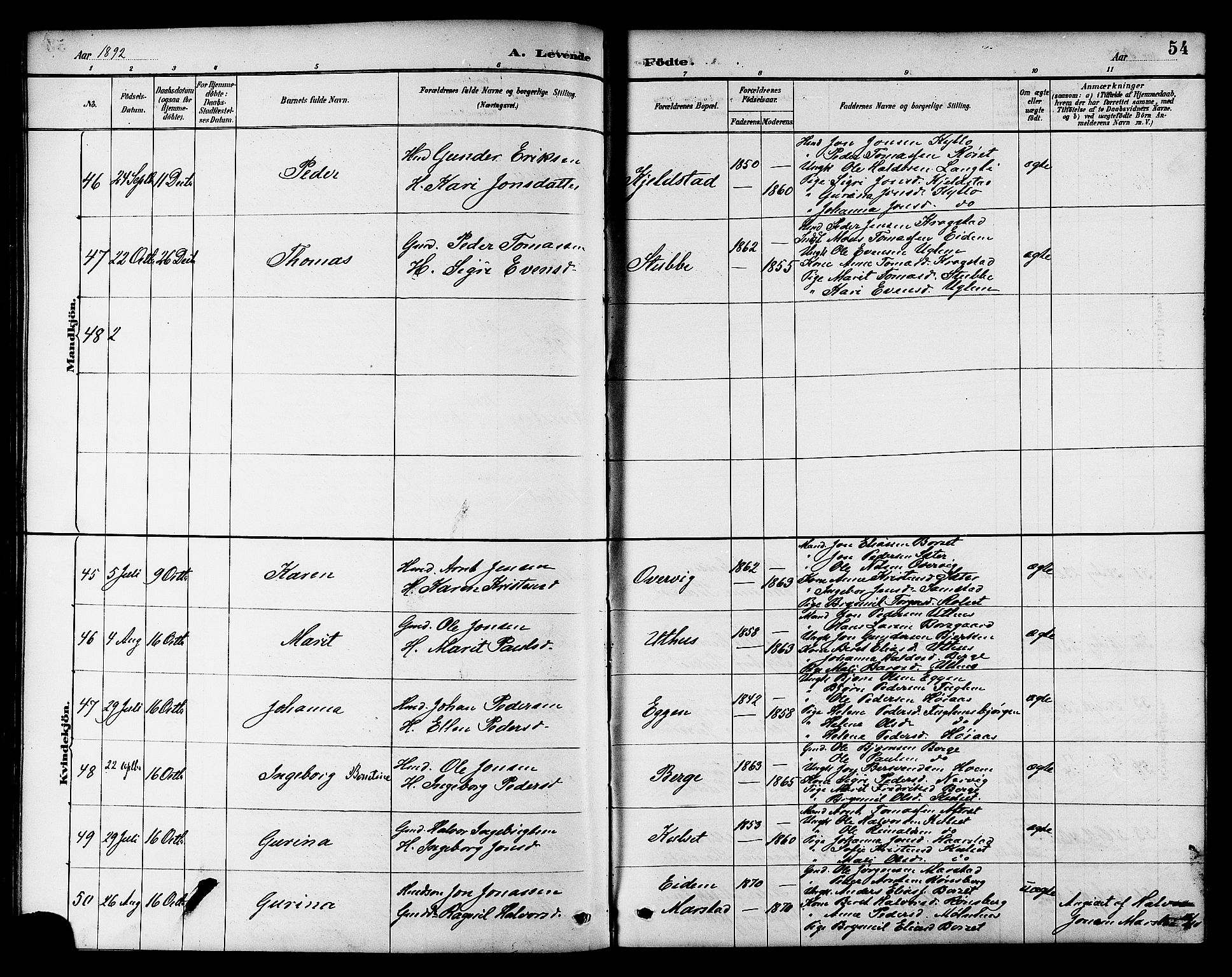 Ministerialprotokoller, klokkerbøker og fødselsregistre - Sør-Trøndelag, AV/SAT-A-1456/695/L1157: Parish register (copy) no. 695C08, 1889-1913, p. 54