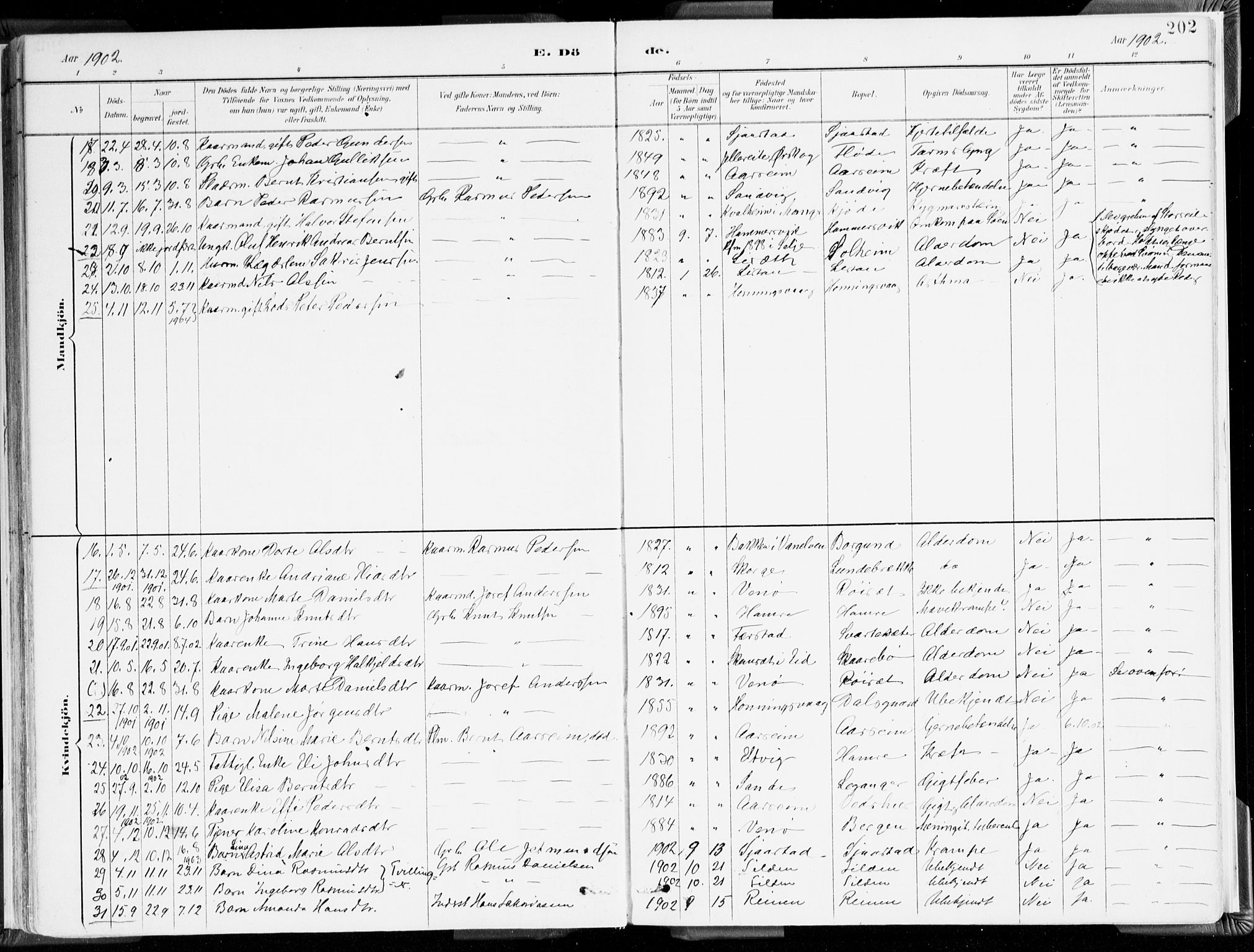 Selje sokneprestembete, SAB/A-99938/H/Ha/Haa/Haab: Parish register (official) no. B 2, 1891-1907, p. 202