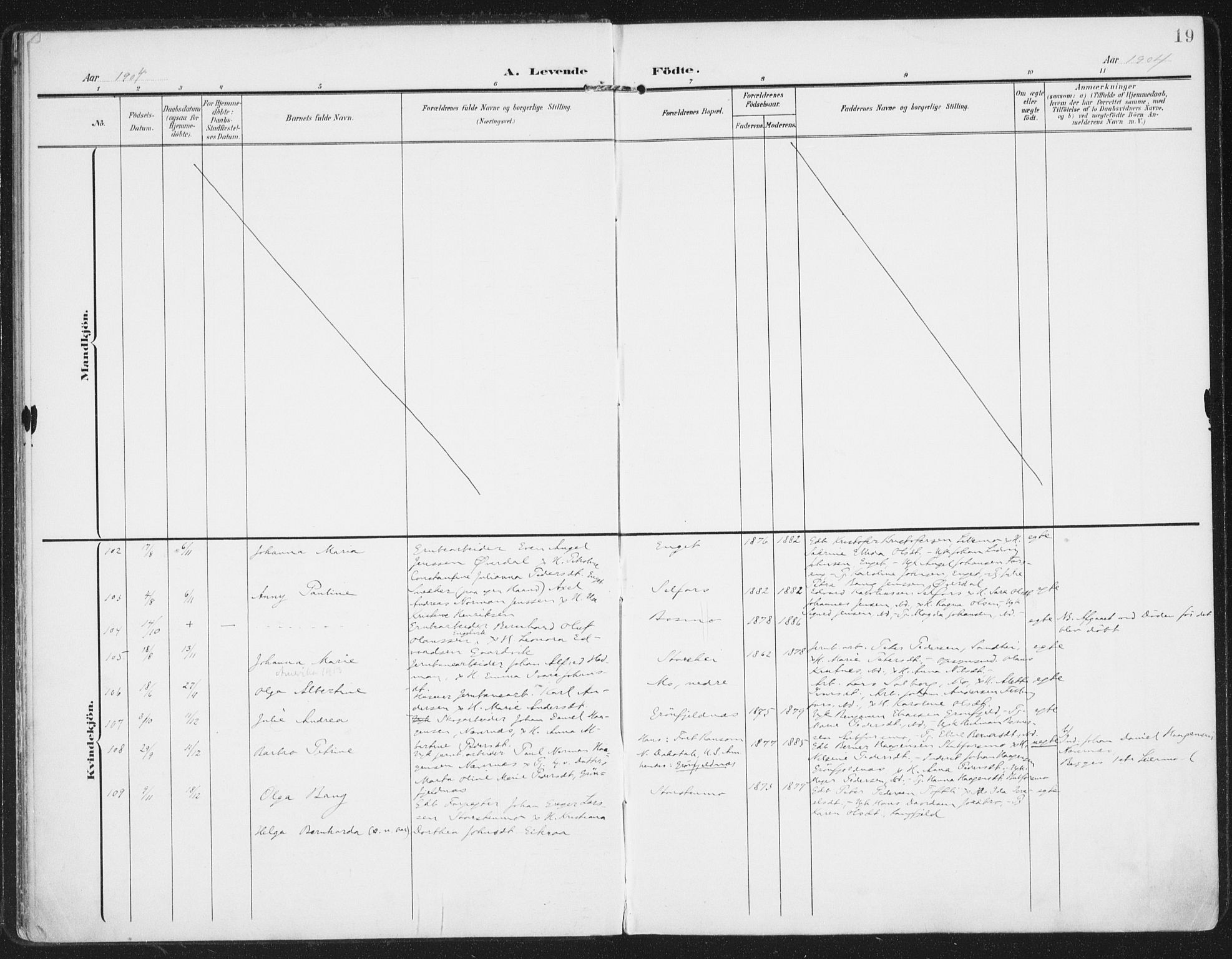 Ministerialprotokoller, klokkerbøker og fødselsregistre - Nordland, SAT/A-1459/827/L0402: Parish register (official) no. 827A14, 1903-1912, p. 19
