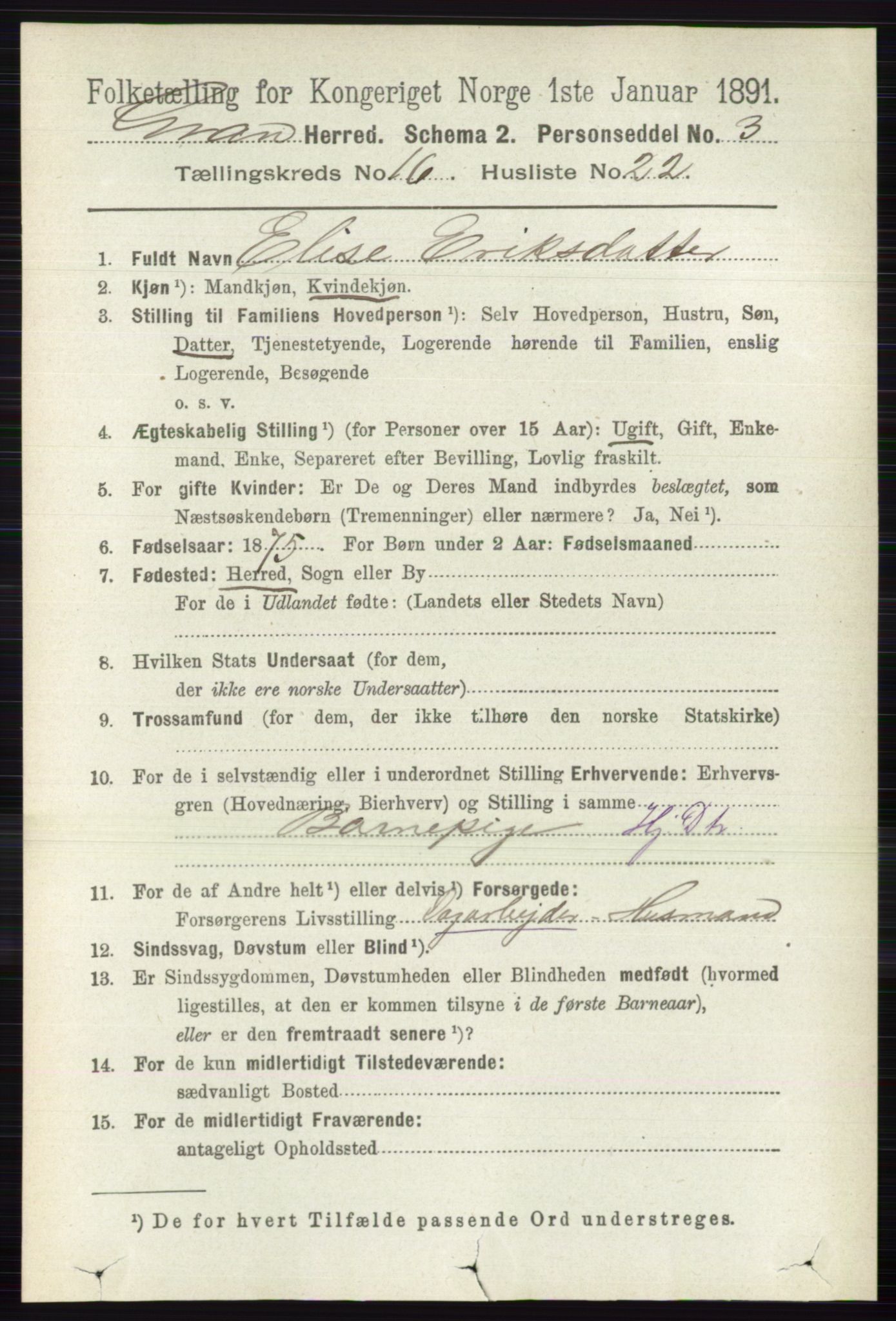 RA, 1891 census for 0534 Gran, 1891, p. 8245
