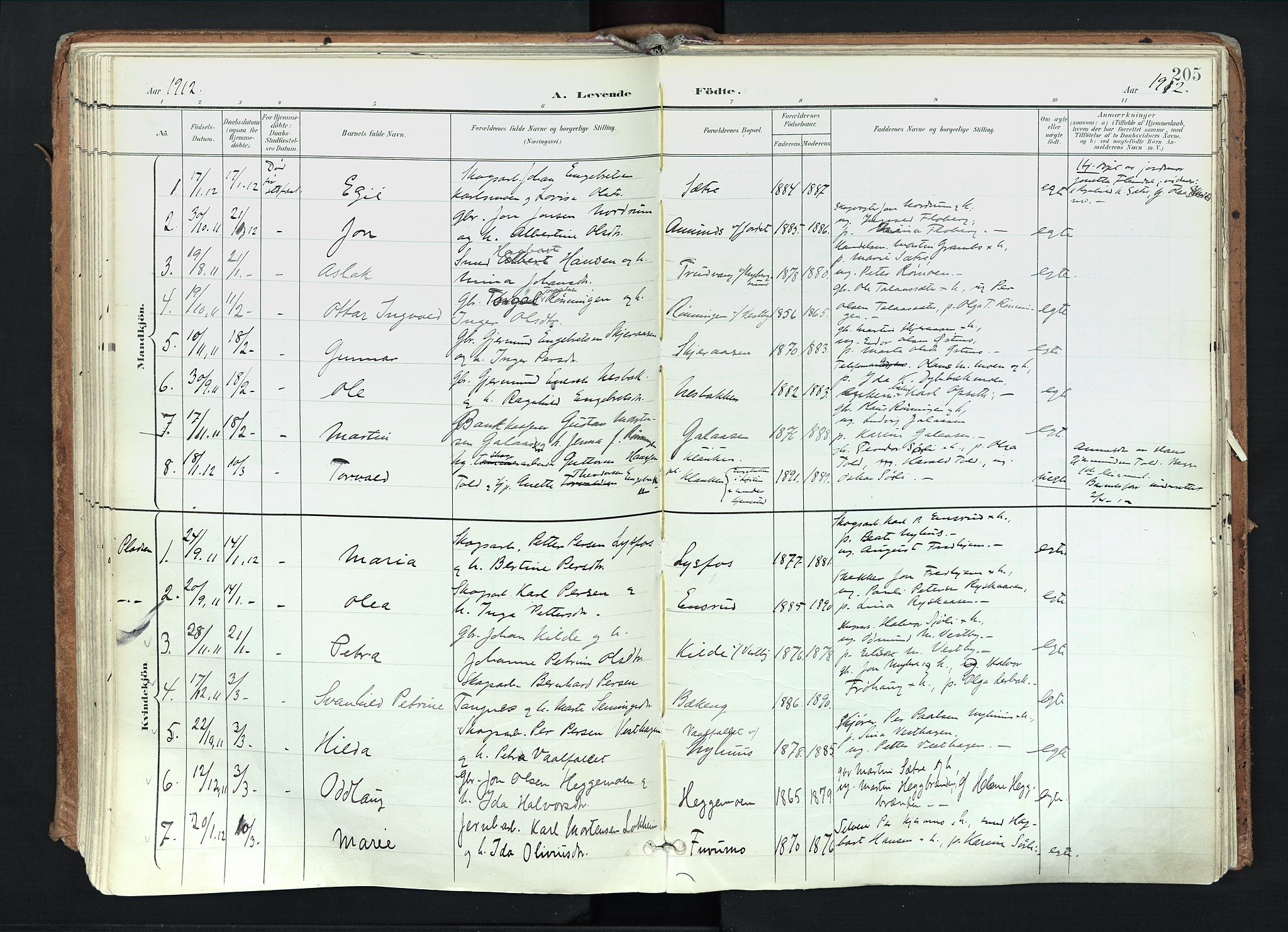 Trysil prestekontor, SAH/PREST-046/H/Ha/Haa/L0012: Parish register (official) no. 12, 1898-1917, p. 205