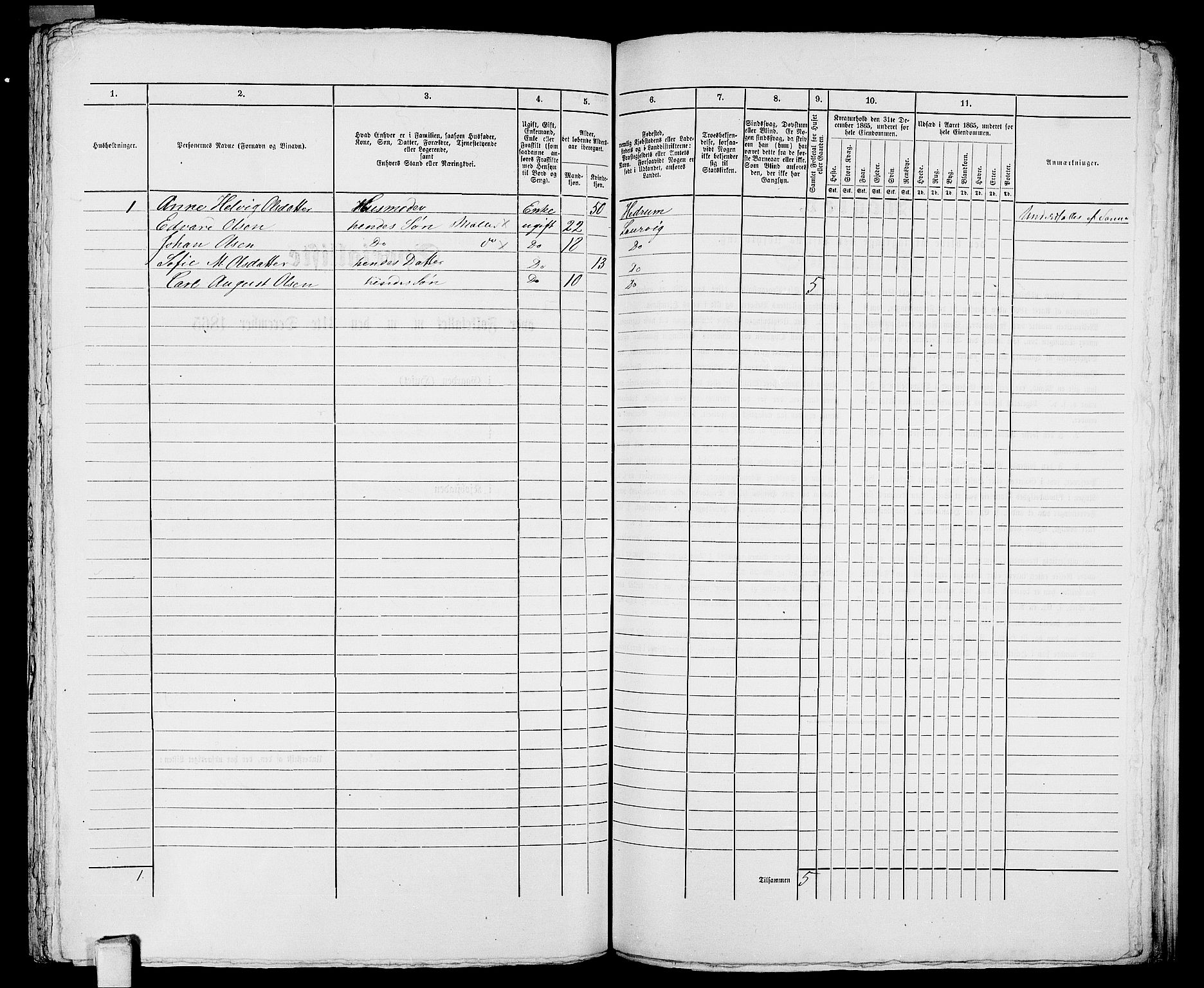 RA, 1865 census for Larvik, 1865, p. 1109