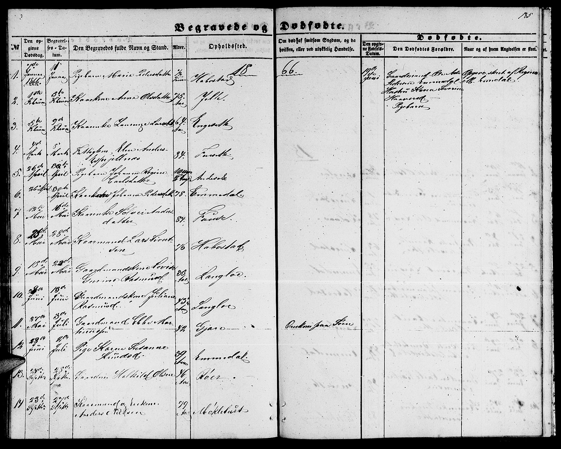 Ministerialprotokoller, klokkerbøker og fødselsregistre - Møre og Romsdal, AV/SAT-A-1454/520/L0291: Parish register (copy) no. 520C03, 1854-1881, p. 185