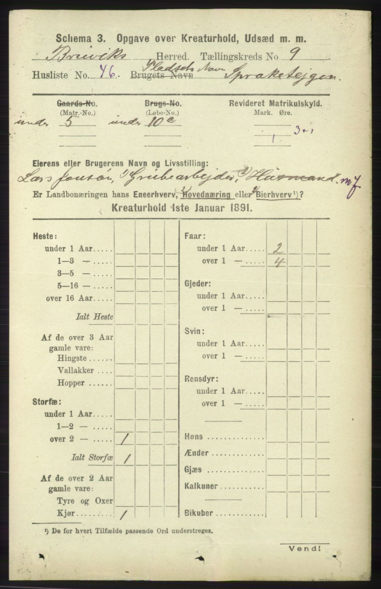 RA, 1891 census for 1251 Bruvik, 1891, p. 4891