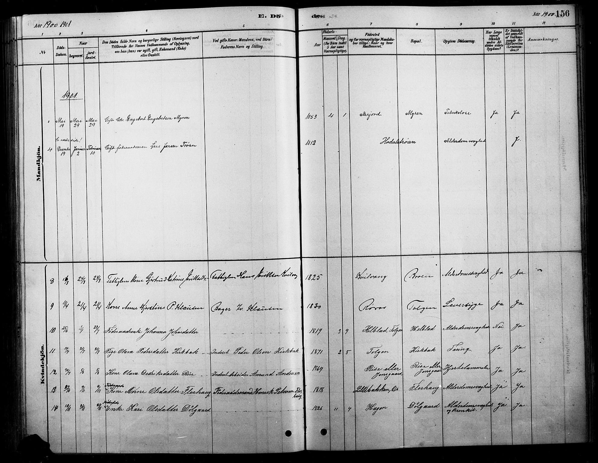 Tolga prestekontor, SAH/PREST-062/L/L0007: Parish register (copy) no. 7, 1878-1919, p. 156