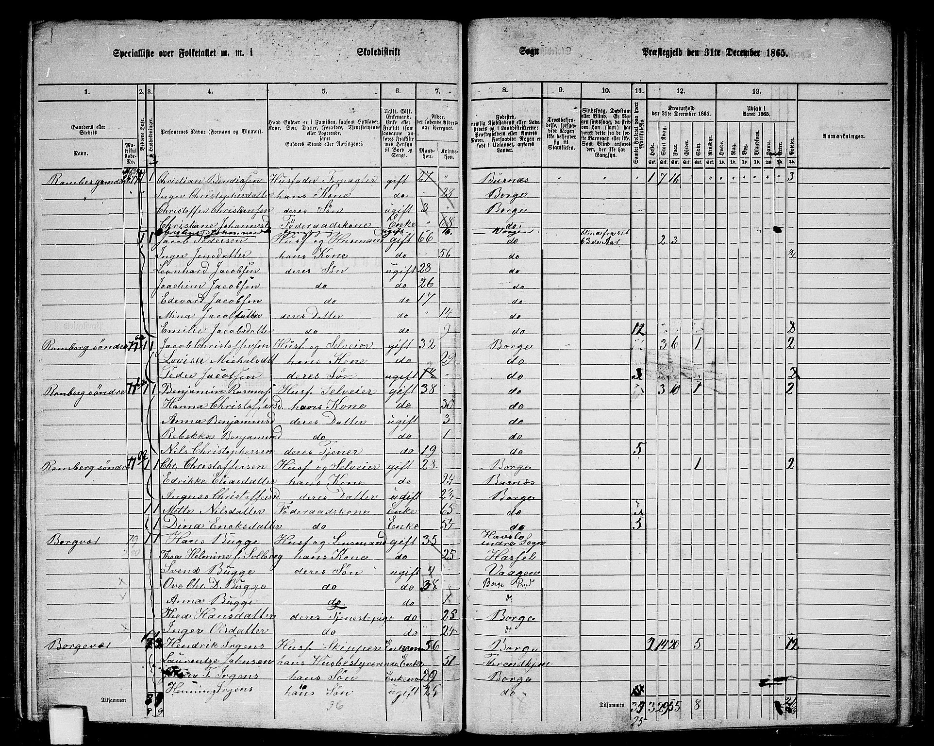 RA, 1865 census for Borge, 1865, p. 58