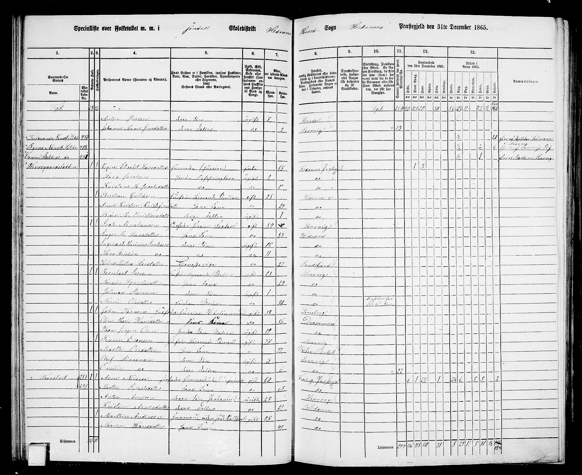 RA, 1865 census for Hedrum, 1865, p. 40