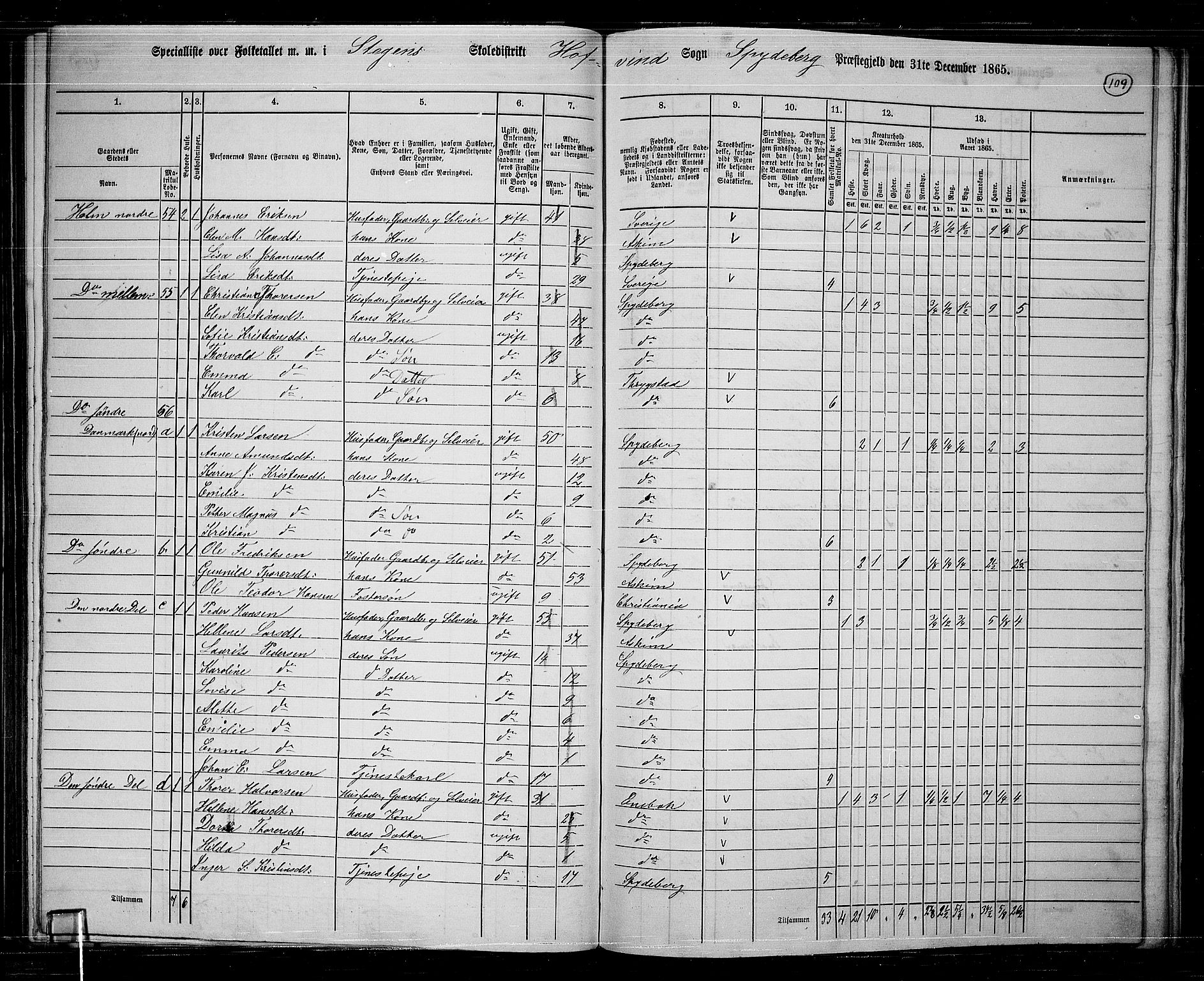 RA, 1865 census for Spydeberg, 1865, p. 97