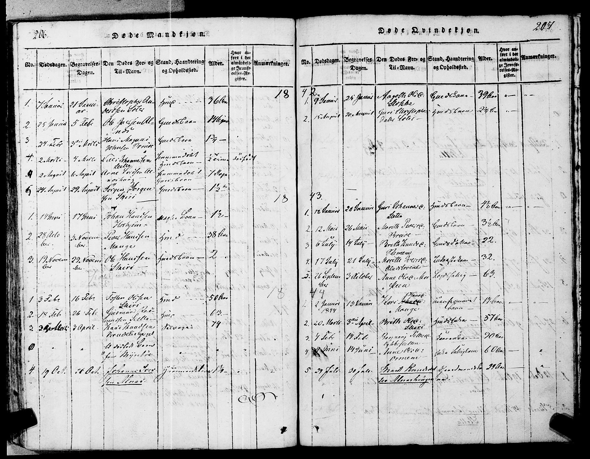 Ministerialprotokoller, klokkerbøker og fødselsregistre - Møre og Romsdal, AV/SAT-A-1454/546/L0593: Parish register (official) no. 546A01, 1818-1853, p. 206-207