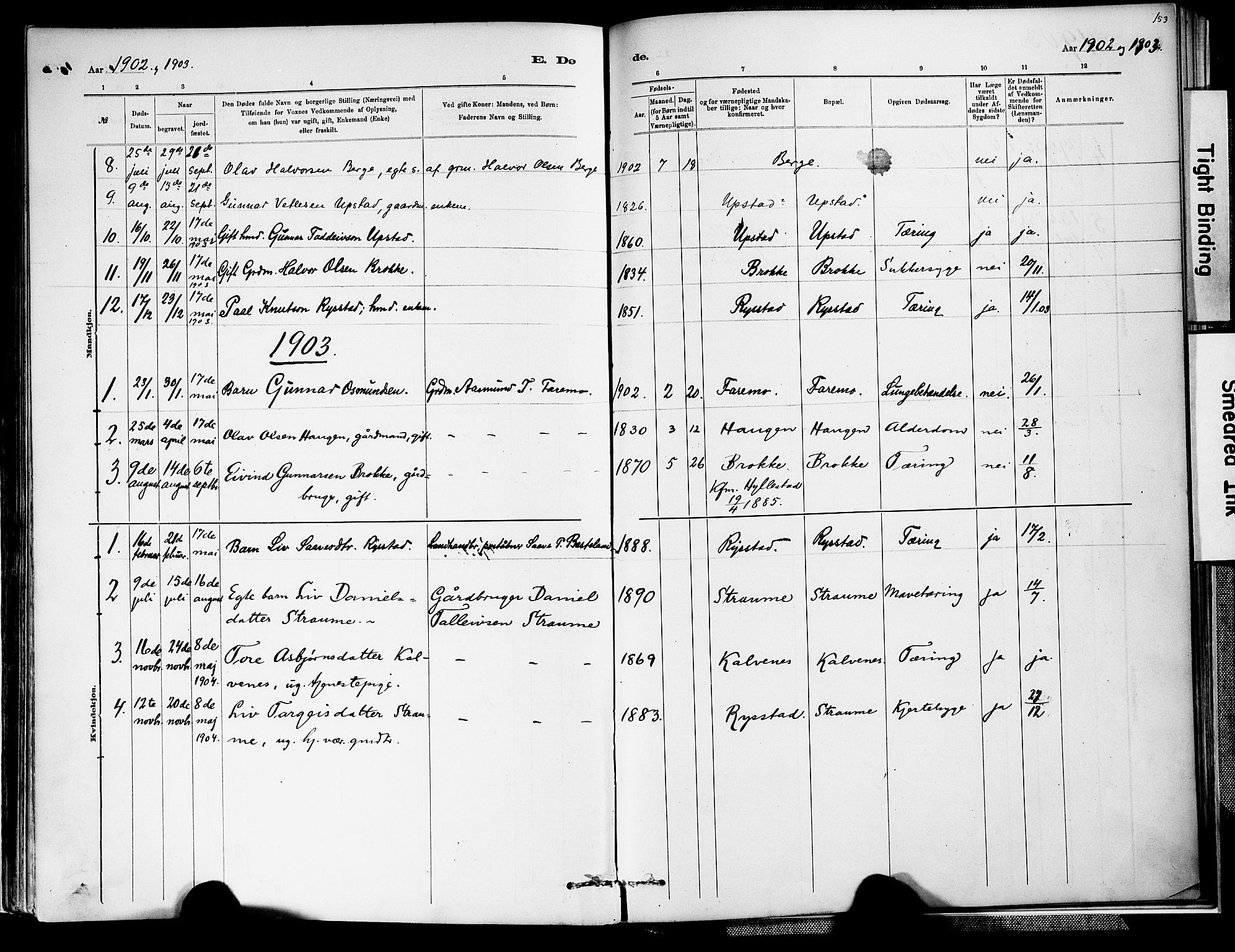 Valle sokneprestkontor, SAK/1111-0044/F/Fa/Fab/L0001: Parish register (official) no. A 1, 1882-1910, p. 153