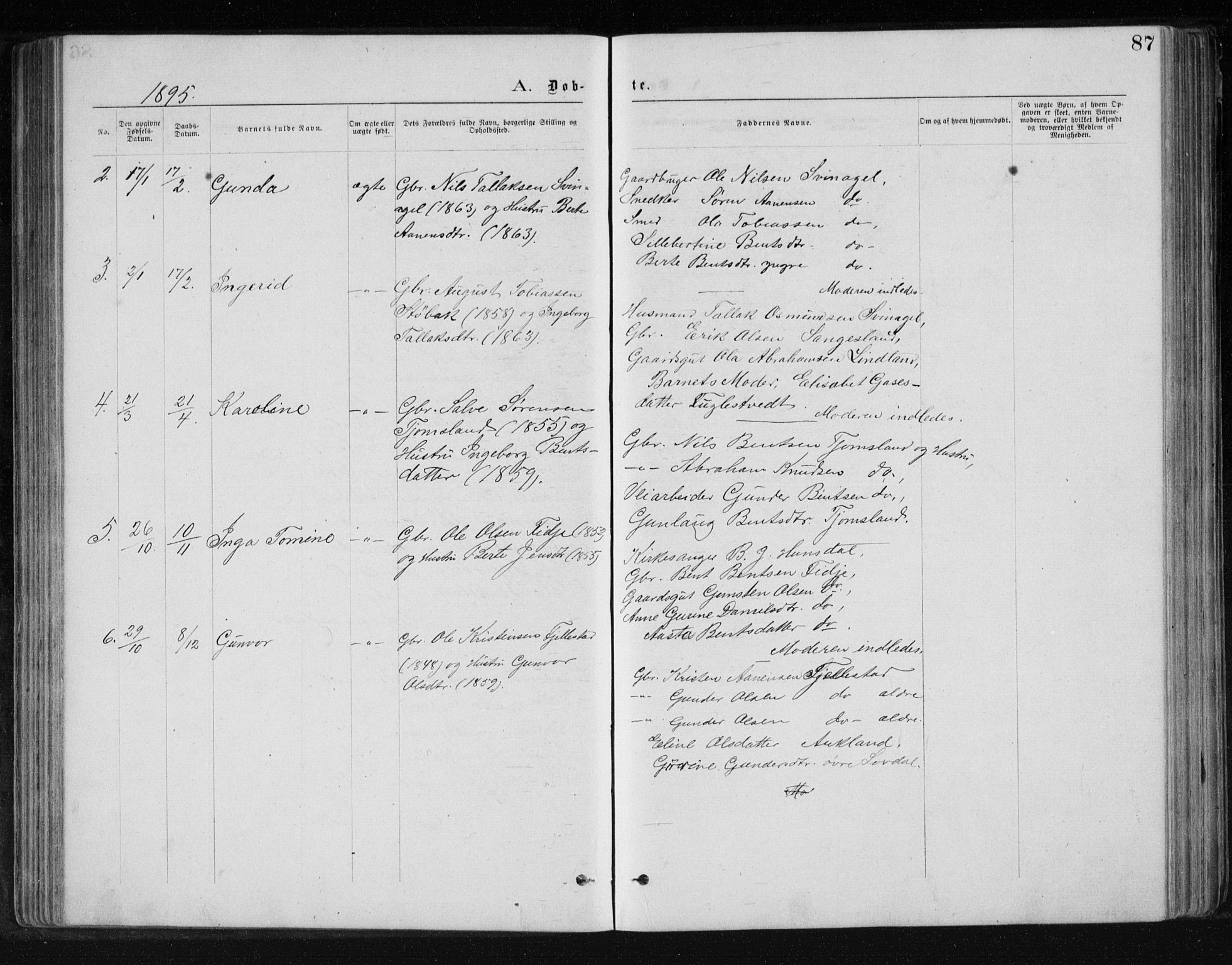 Holum sokneprestkontor, SAK/1111-0022/F/Fb/Fbb/L0003: Parish register (copy) no. B 3, 1875-1898, p. 87