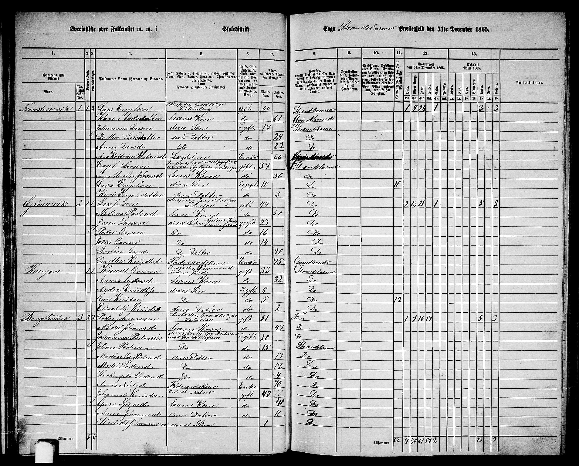 RA, 1865 census for Strandebarm, 1865, p. 27