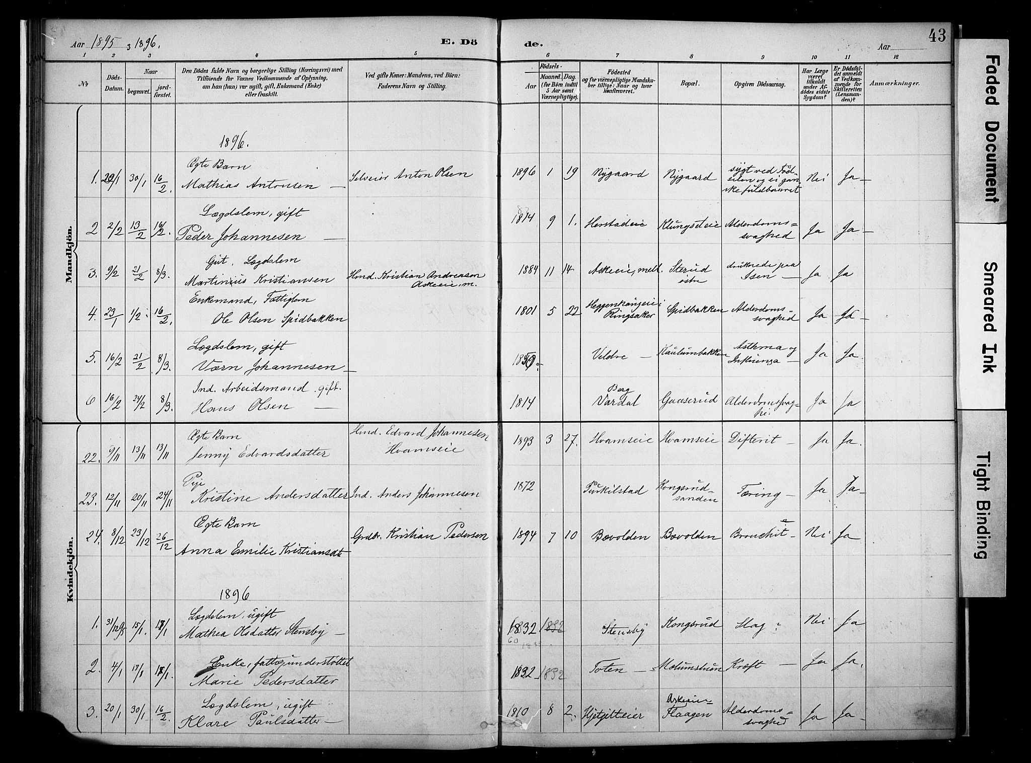 Nes prestekontor, Hedmark, AV/SAH-PREST-020/K/Ka/L0011: Parish register (official) no. 11, 1887-1905, p. 43