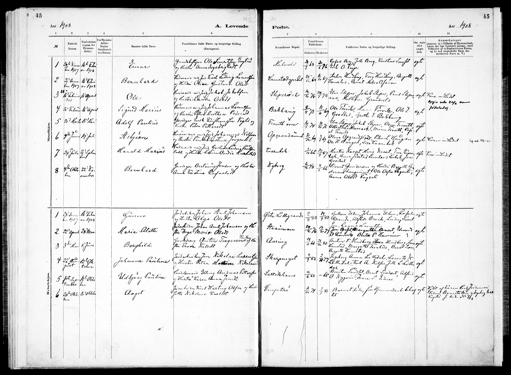 Ministerialprotokoller, klokkerbøker og fødselsregistre - Nord-Trøndelag, SAT/A-1458/733/L0325: Parish register (official) no. 733A04, 1884-1908, p. 45
