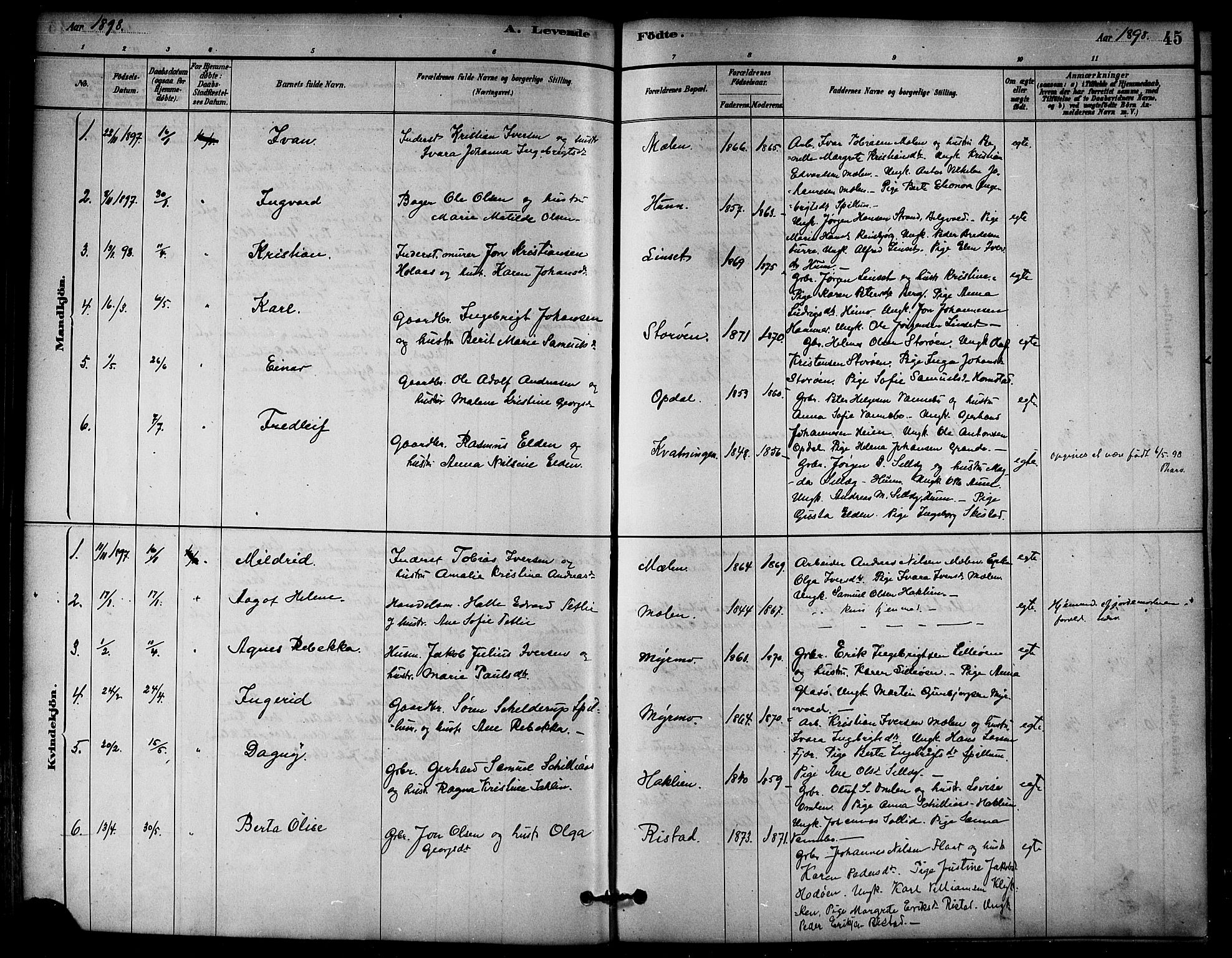 Ministerialprotokoller, klokkerbøker og fødselsregistre - Nord-Trøndelag, AV/SAT-A-1458/766/L0563: Parish register (official) no. 767A01, 1881-1899, p. 45