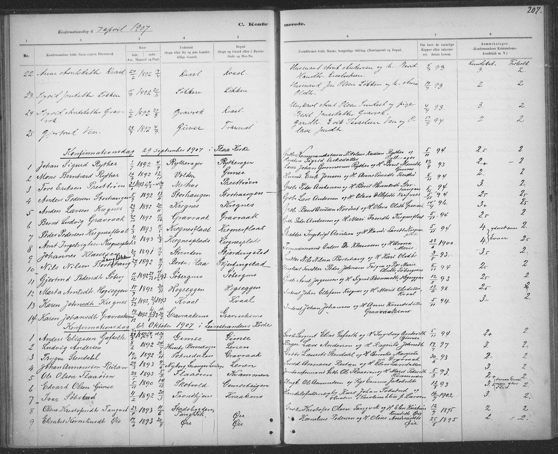 Ministerialprotokoller, klokkerbøker og fødselsregistre - Sør-Trøndelag, SAT/A-1456/691/L1085: Parish register (official) no. 691A17, 1887-1908, p. 207