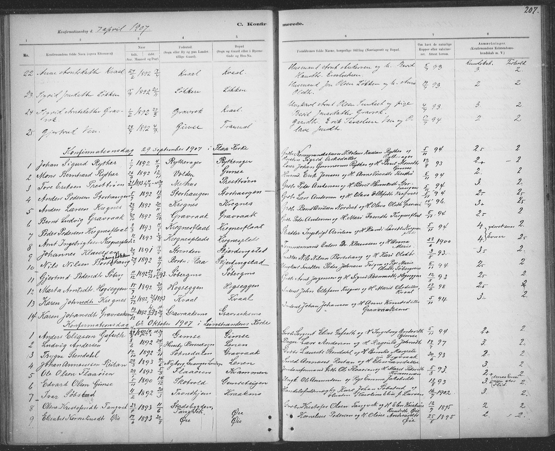 Ministerialprotokoller, klokkerbøker og fødselsregistre - Sør-Trøndelag, AV/SAT-A-1456/691/L1085: Parish register (official) no. 691A17, 1887-1908, p. 207