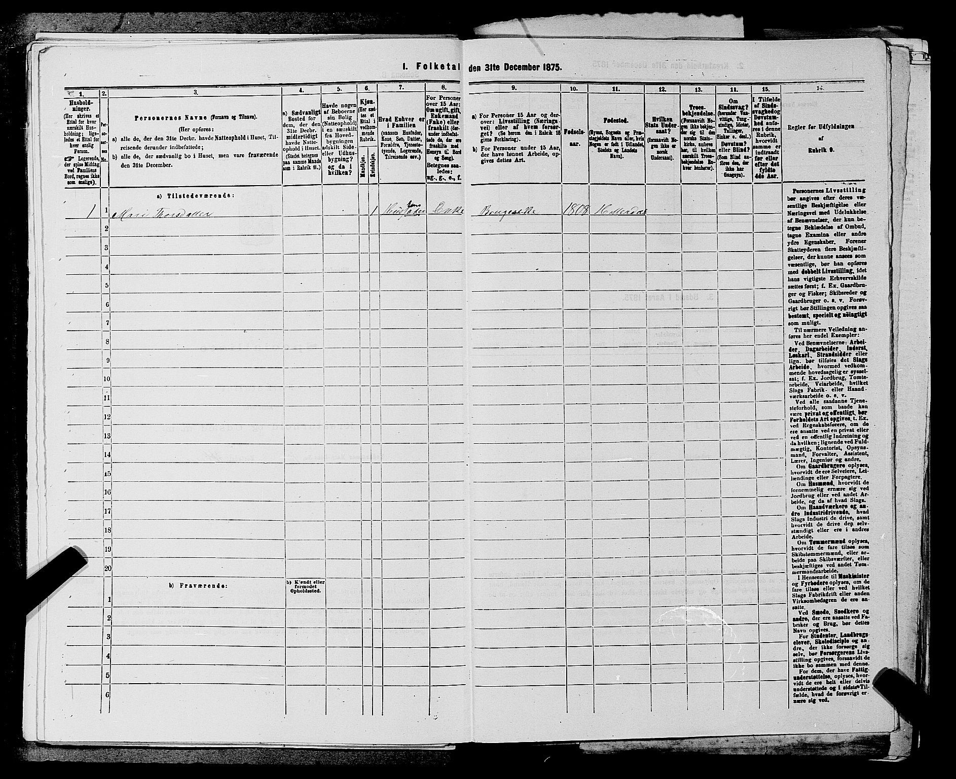 SAKO, 1875 census for 0823P Heddal, 1875, p. 571