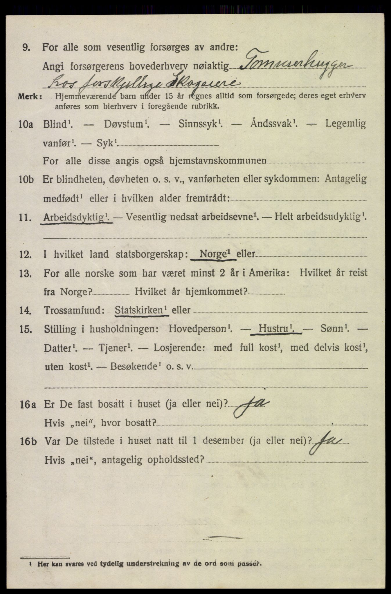 SAH, 1920 census for Trysil, 1920, p. 15218