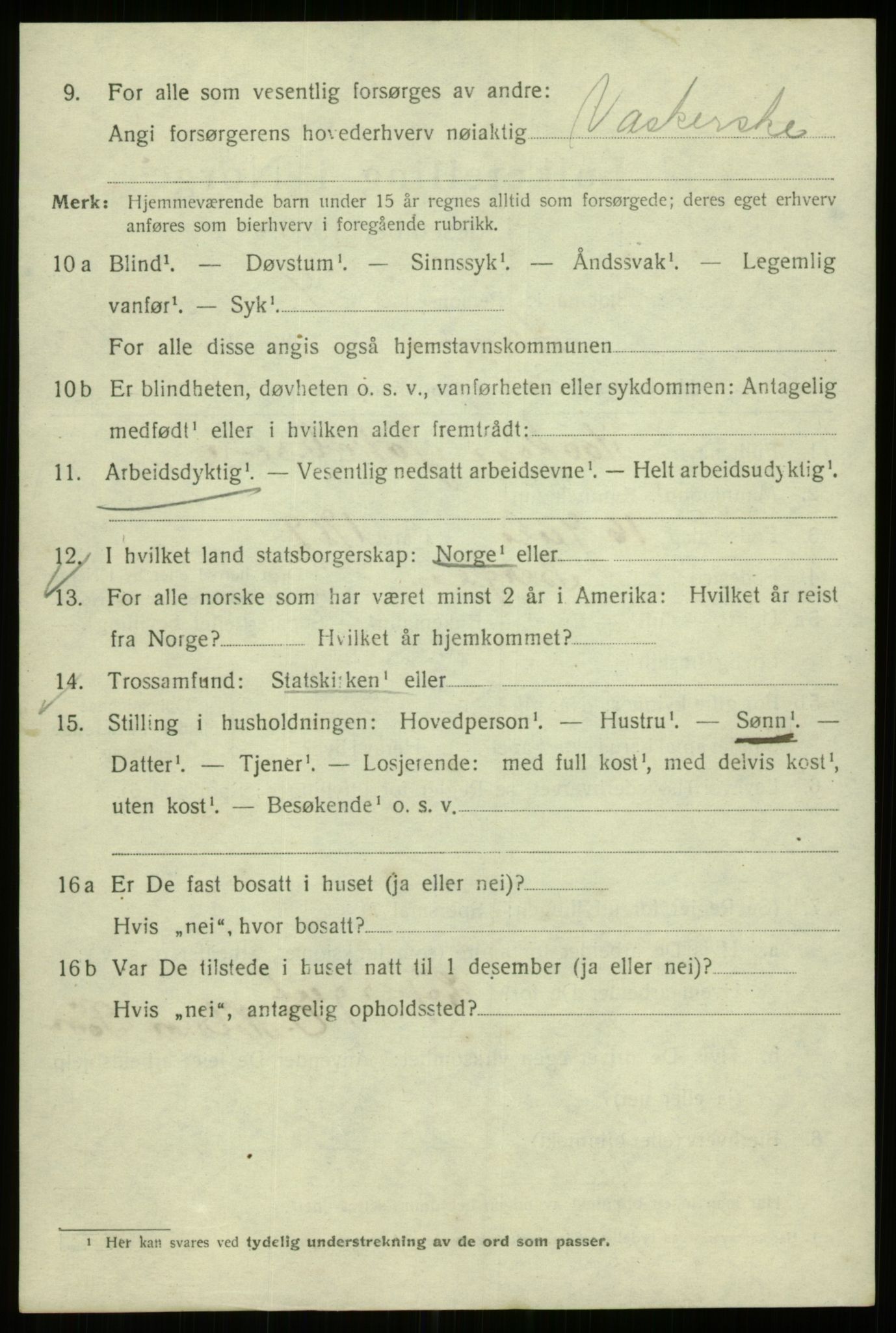 SAB, 1920 census for Bergen, 1920, p. 208463