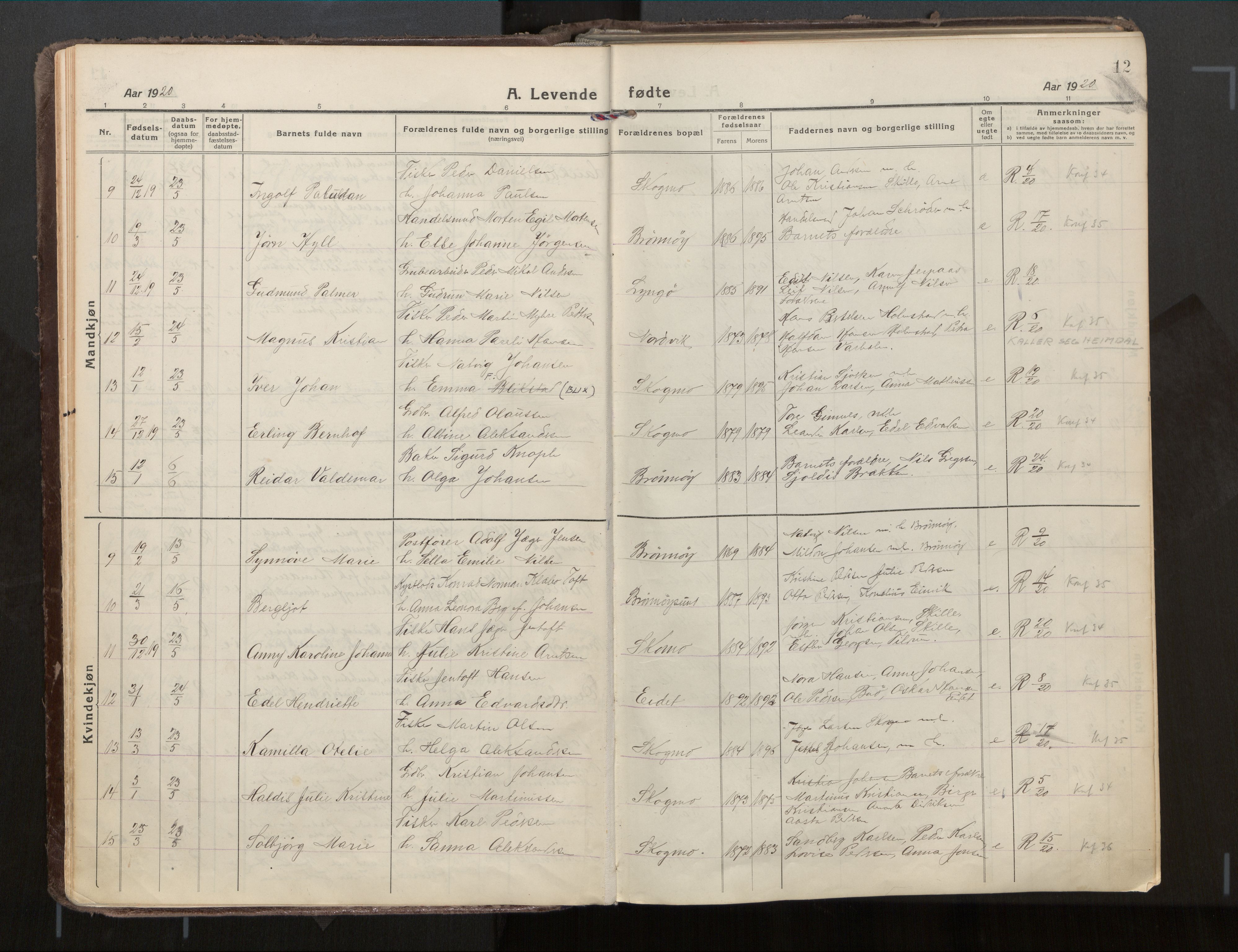 Ministerialprotokoller, klokkerbøker og fødselsregistre - Nordland, AV/SAT-A-1459/813/L0207a: Parish register (official) no. 813A18, 1919-1927, p. 12